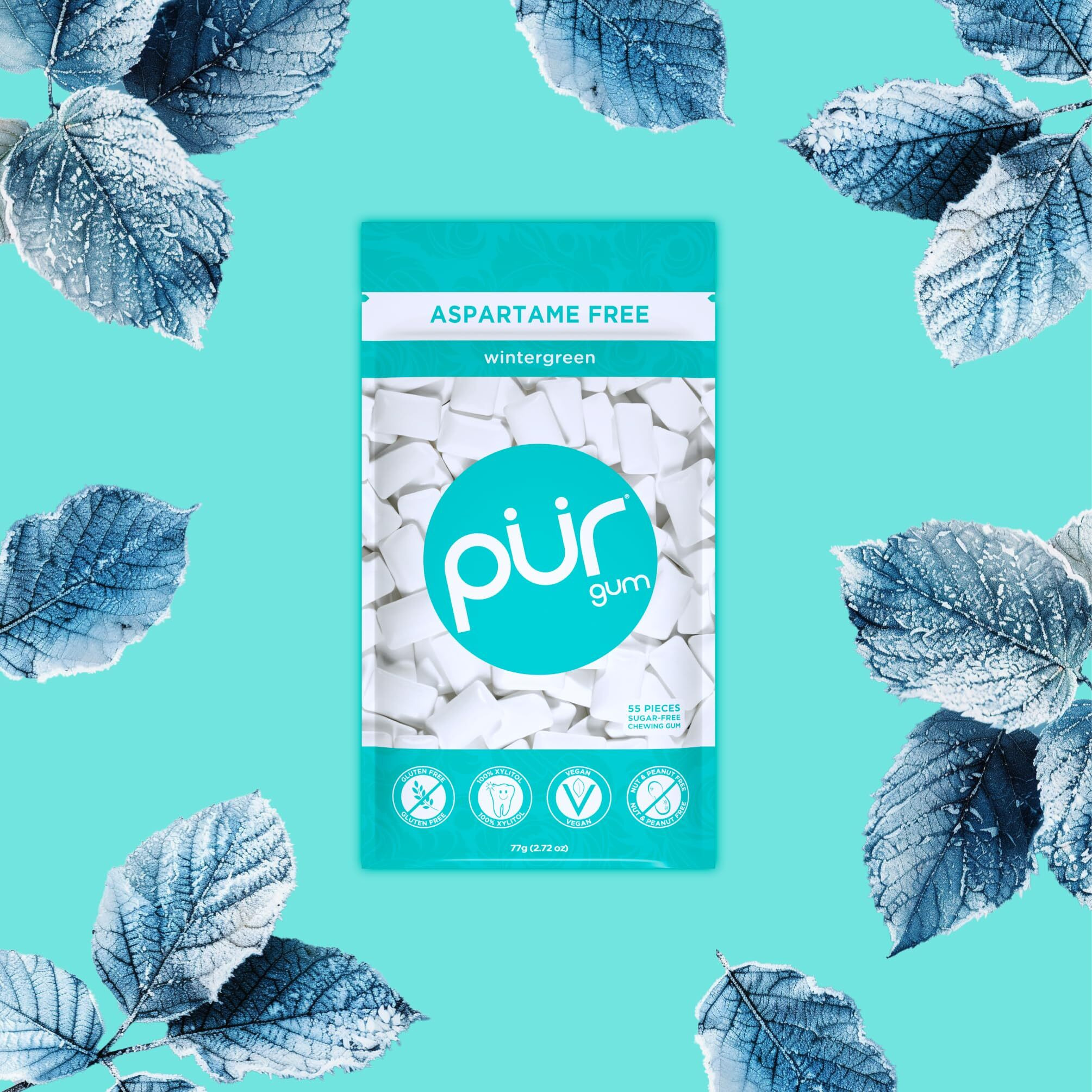 Pur Gum | Aspartame Free Chewing Gum | 100% Xylitol | Natural Wintergreen Flavored Gum, 55 Pieces (Pack Of 6)
