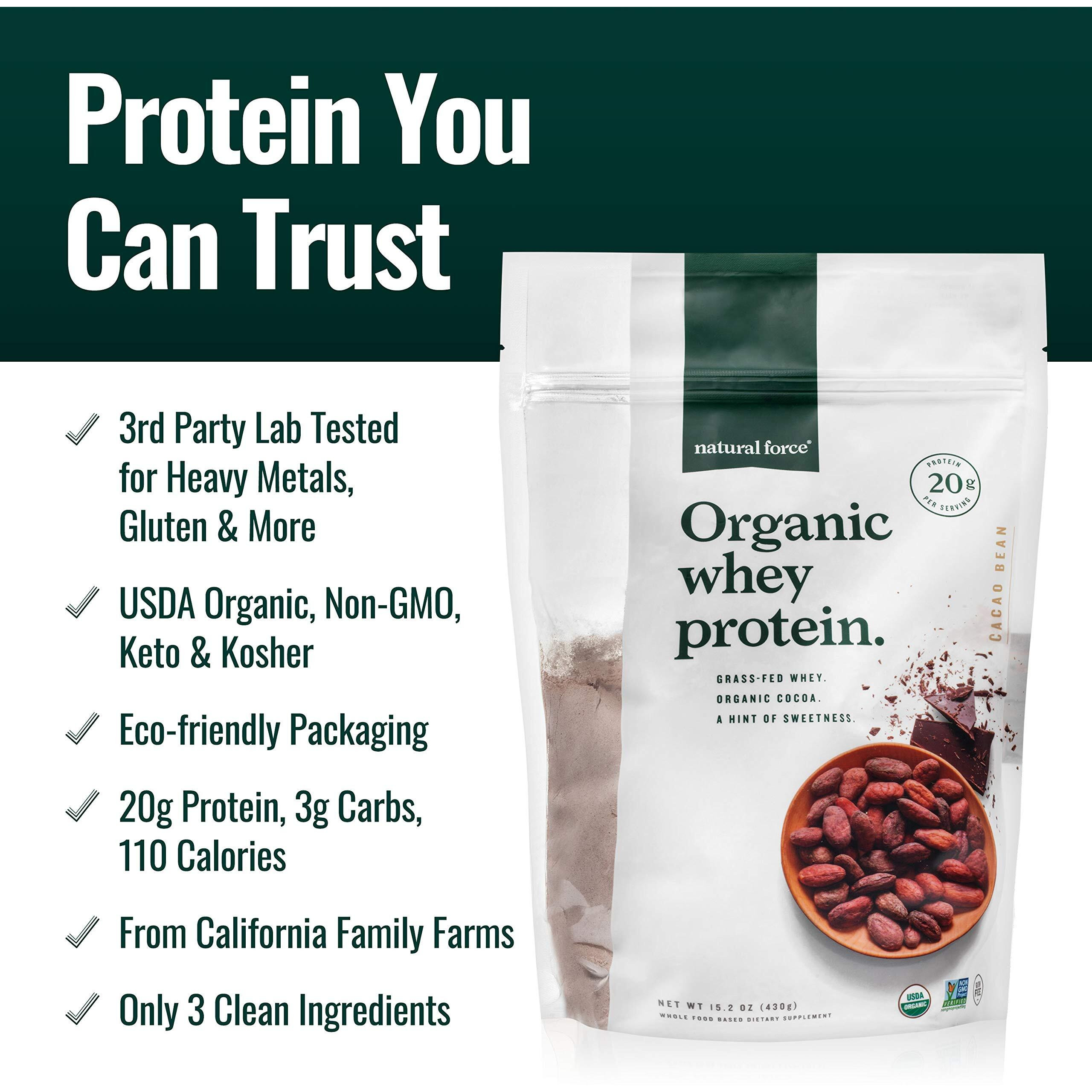 Natural Force Whey Protein Powder - Chocolate - Grass Fed Organic, Pure, Keto & Paleo Friendly, Low Carb, Kosher, Non Gmo - 1 Pound
