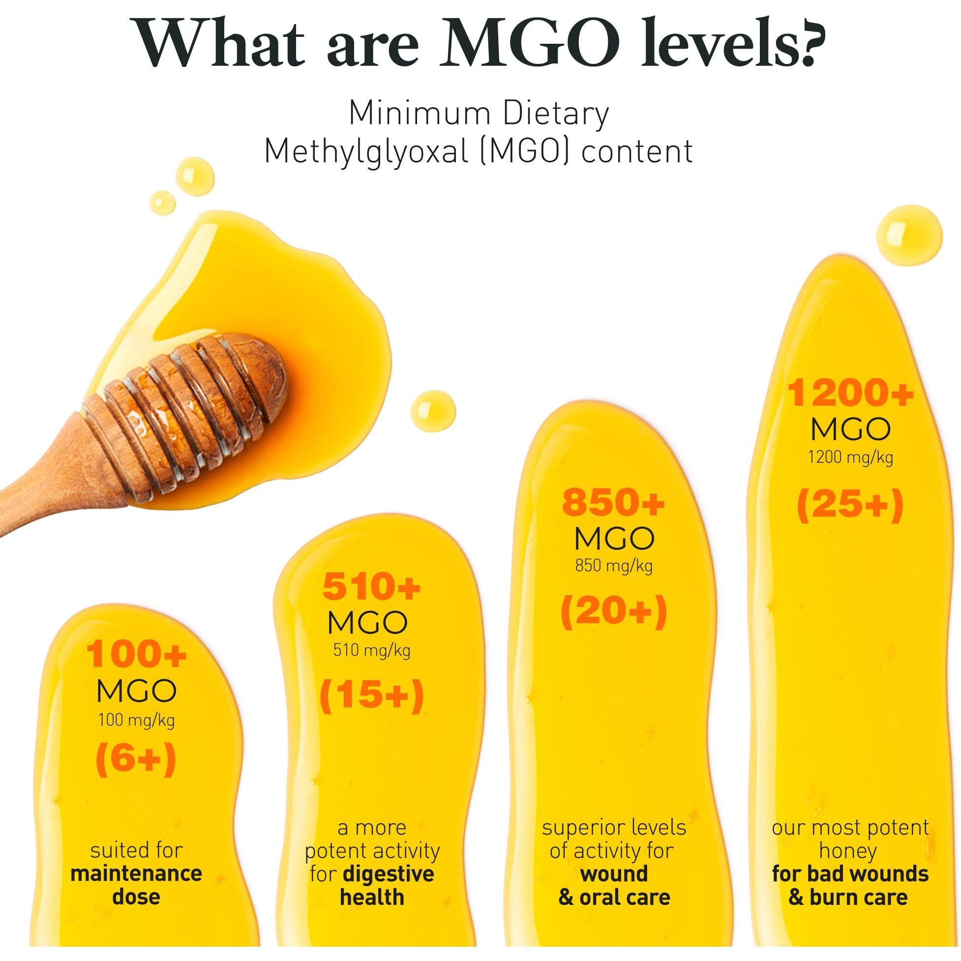 Raw Manuka Honey Mgo 1200+ - Highest-Strength Honey Manuka - Pure Manuka Honey - 250G - 8.8 Oz - Good Natured