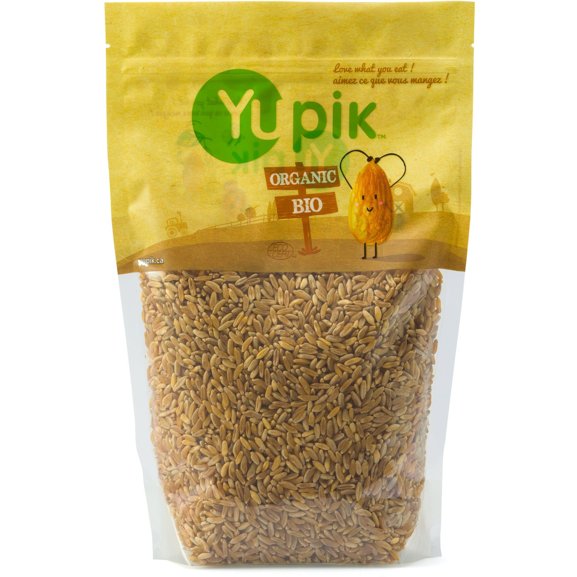 Yupik Organic Kamut Grains, 2.2 Lb, Non-Gmo, Vegan, Kosher, Raw Whole Grains, Khorasan Wheat, Nutty Flavor, Source Of Fiber & Iron, Ideal For Cooking & Sprouting