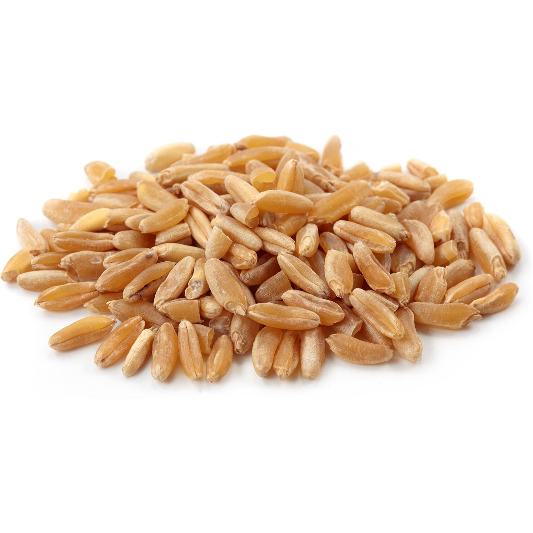 Yupik Organic Kamut Grains, 2.2 Lb, Non-Gmo, Vegan, Kosher, Raw Whole Grains, Khorasan Wheat, Nutty Flavor, Source Of Fiber & Iron, Ideal For Cooking & Sprouting