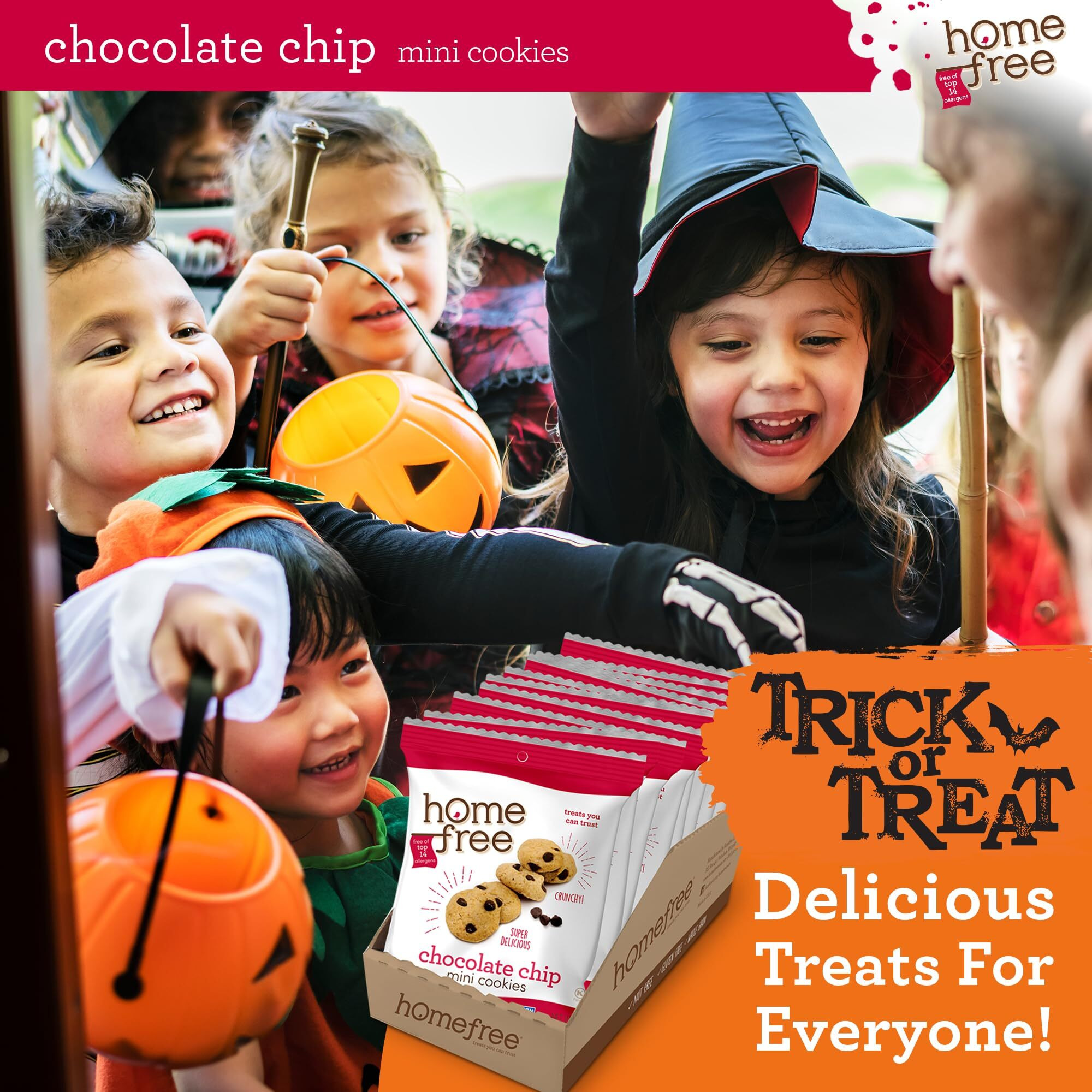 Homefree Mini Chocolate Chip Cookies, Gluten Free, Nut Free, Vegan, Individually Wrapped Packs, School Safe And Allergy Friendly Snack, 1.1 Oz. (Pack Of 10)