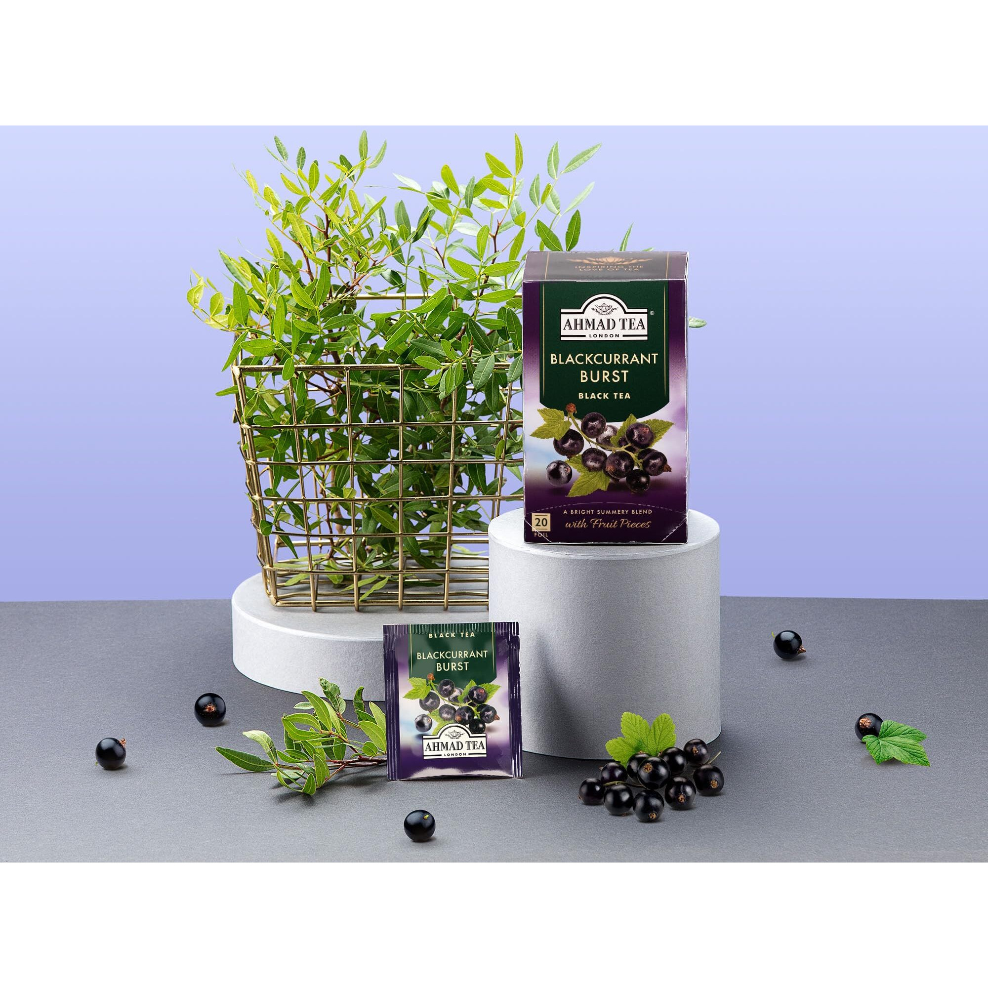 Ahmad Tea Black Tea, Blackcurrant Burst Teabags, 20 Ct (Pack Of 6) - Caffeinated & Sugar-Free