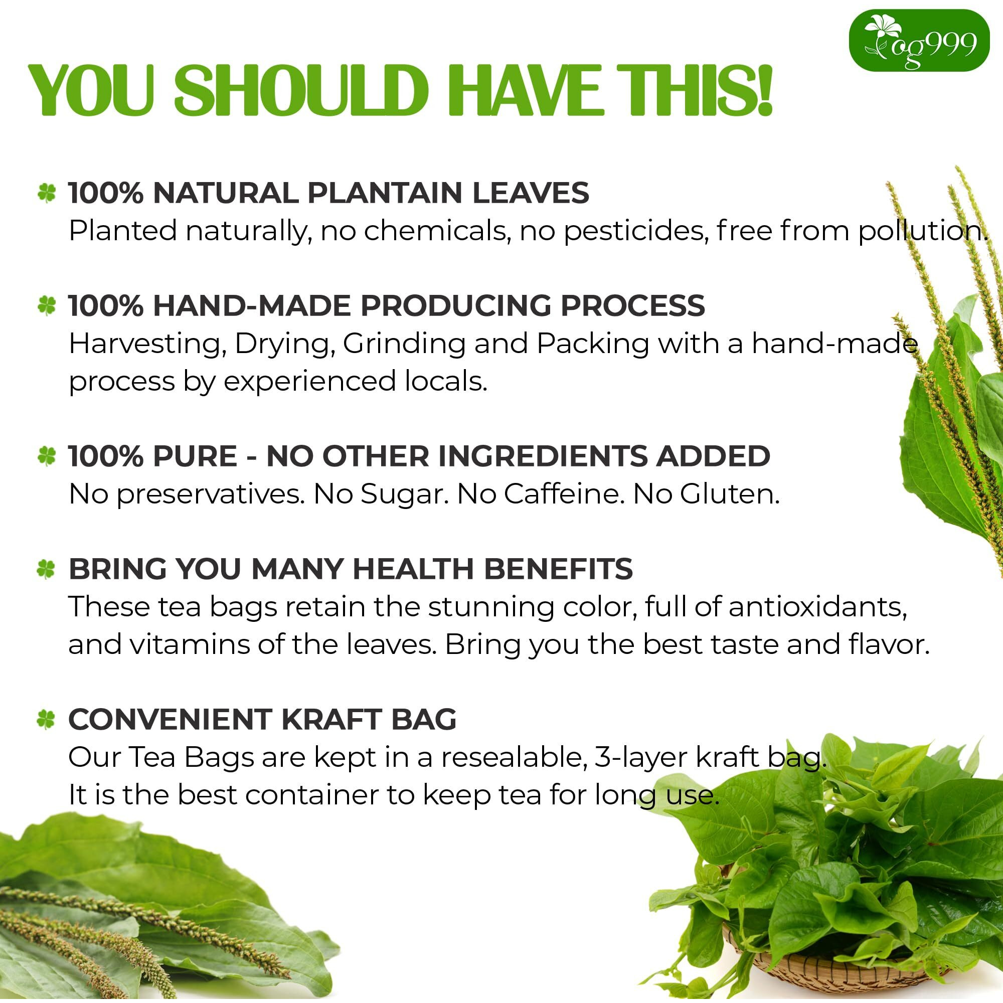 Tog999, Premium 60 Plantain Leaf Tea Bags, 100% Natural & Pure Plantain Leaves. Loose Leaf Plantain Herbal Tea. Plantain Leaf Tea. No Sugar, No Caffeine, No Gluten, Vegan.