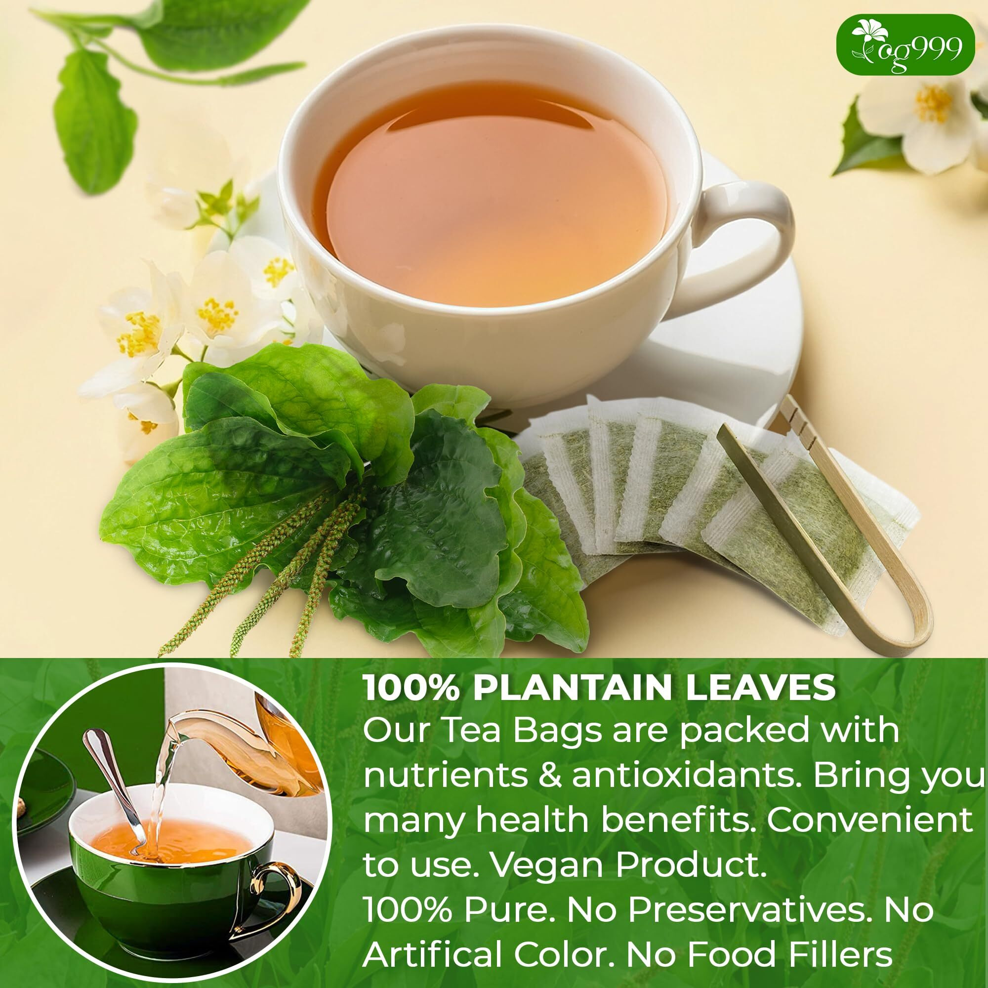 Tog999, Premium 60 Plantain Leaf Tea Bags, 100% Natural & Pure Plantain Leaves. Loose Leaf Plantain Herbal Tea. Plantain Leaf Tea. No Sugar, No Caffeine, No Gluten, Vegan.