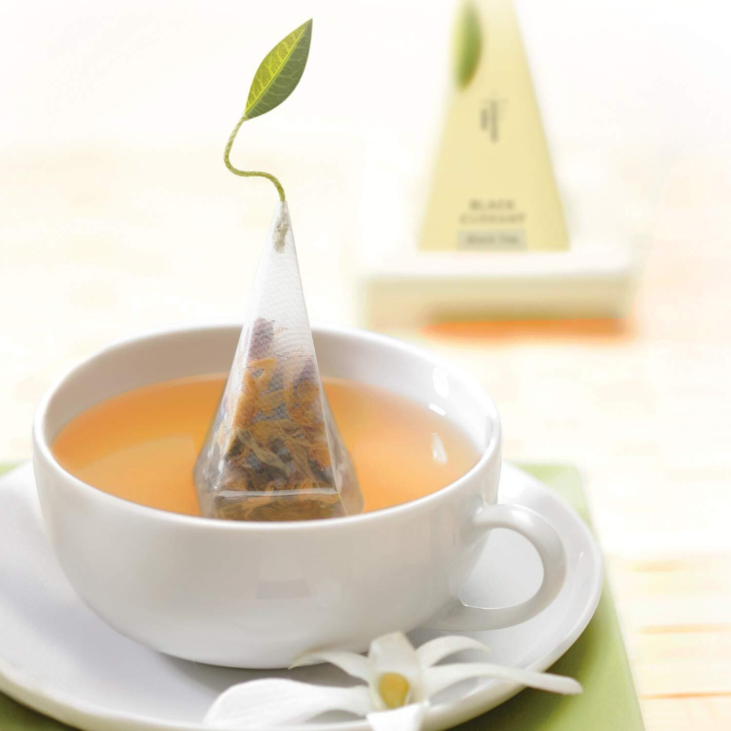 Tea Forte Lotus Relaxing Organic Tea, Petite Presentation Box, Sampler Gift Set With Handcrafted Pyramid Infuser, 10 Count (Pack Of 1)