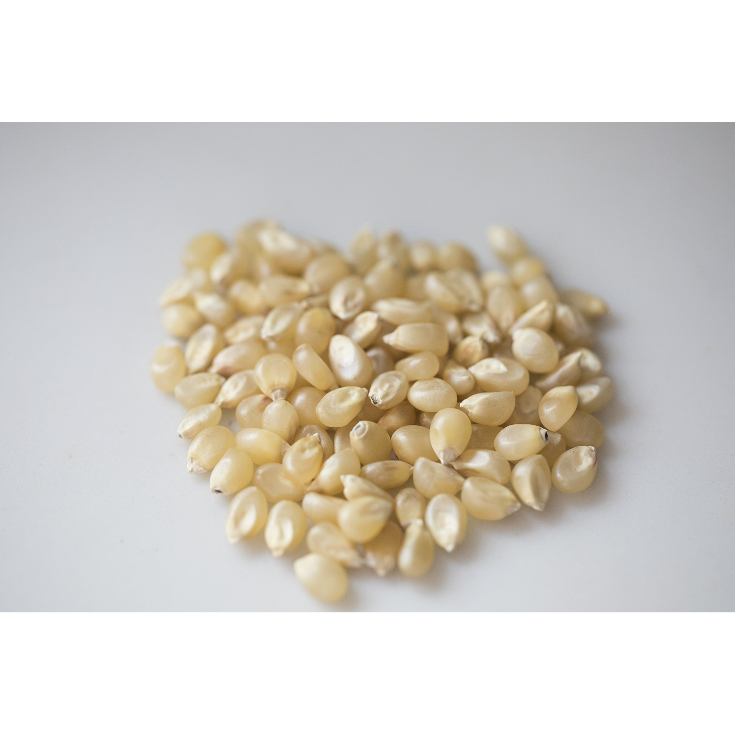 Amish Country Popcorn | 3-2 Lb Bags | Medium White Popcorn Kernels | Old Fashioned, Non-Gmo And Gluten Free (3-2 Lb Bags)