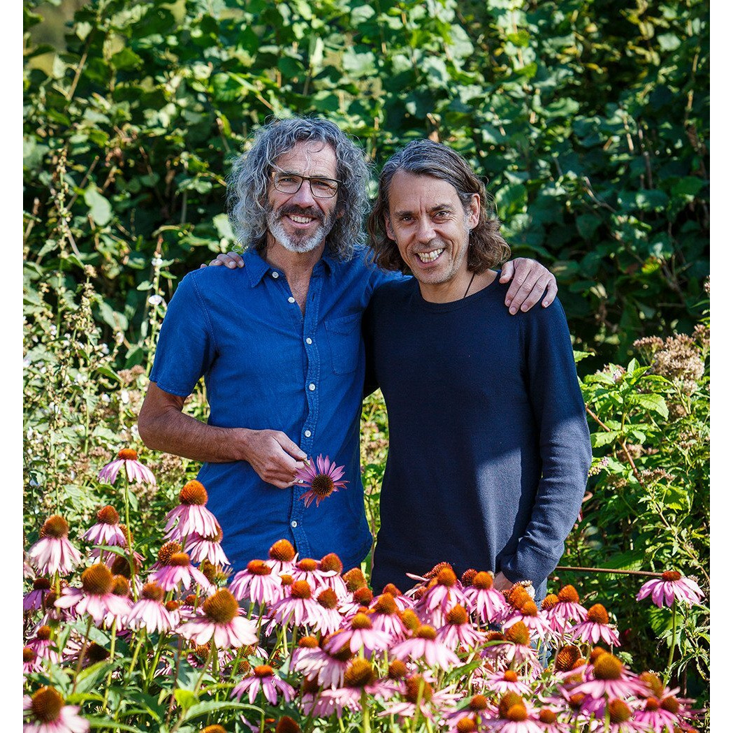 Pukka Herbal Teas Lemongrass And Ginger Caffeine Free, 20 Count