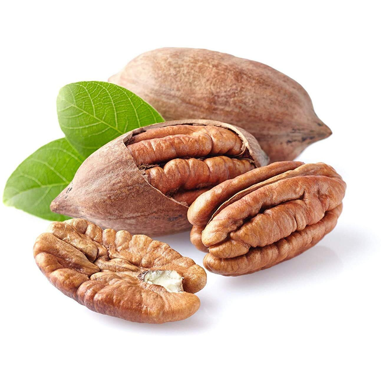 Anna And Sarah Premium Georgian Raw Fresh Pecans In Shell, 2 Lbs