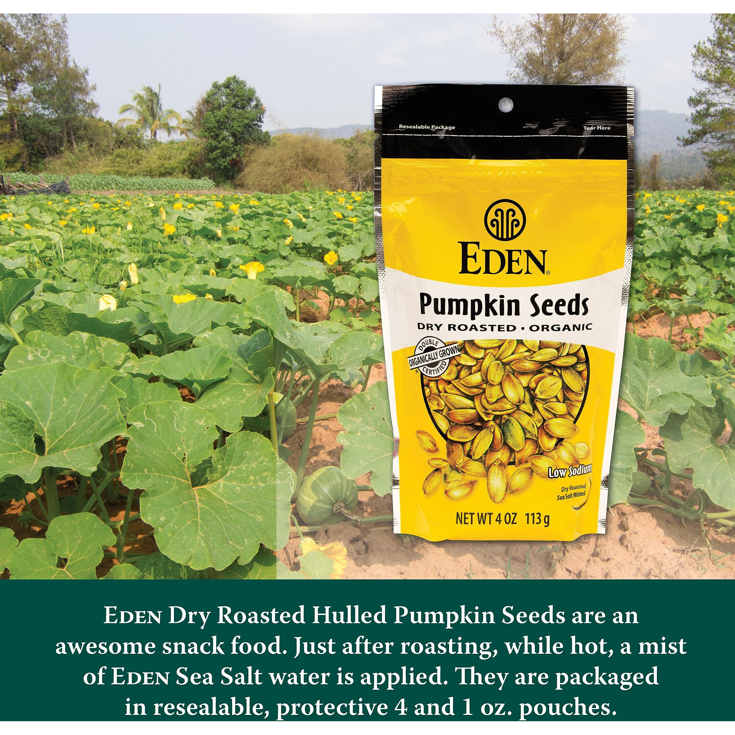 Eden Organic Pumpkin Seeds, Dry Roasted And Lightly Salted, 4 Oz (6-Pack)