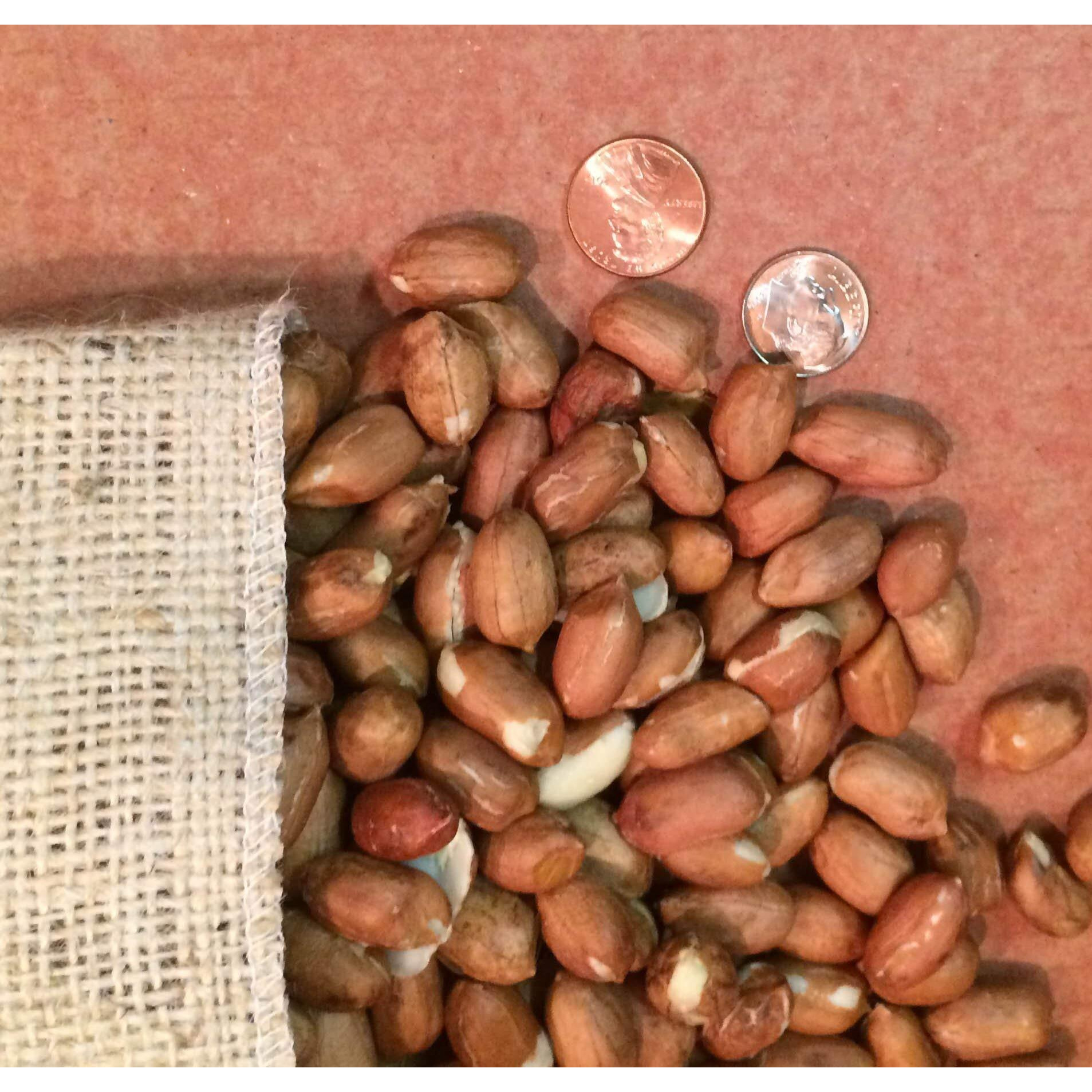 Aunt Rubys Raw Shelled Pnuts, 48 Oz