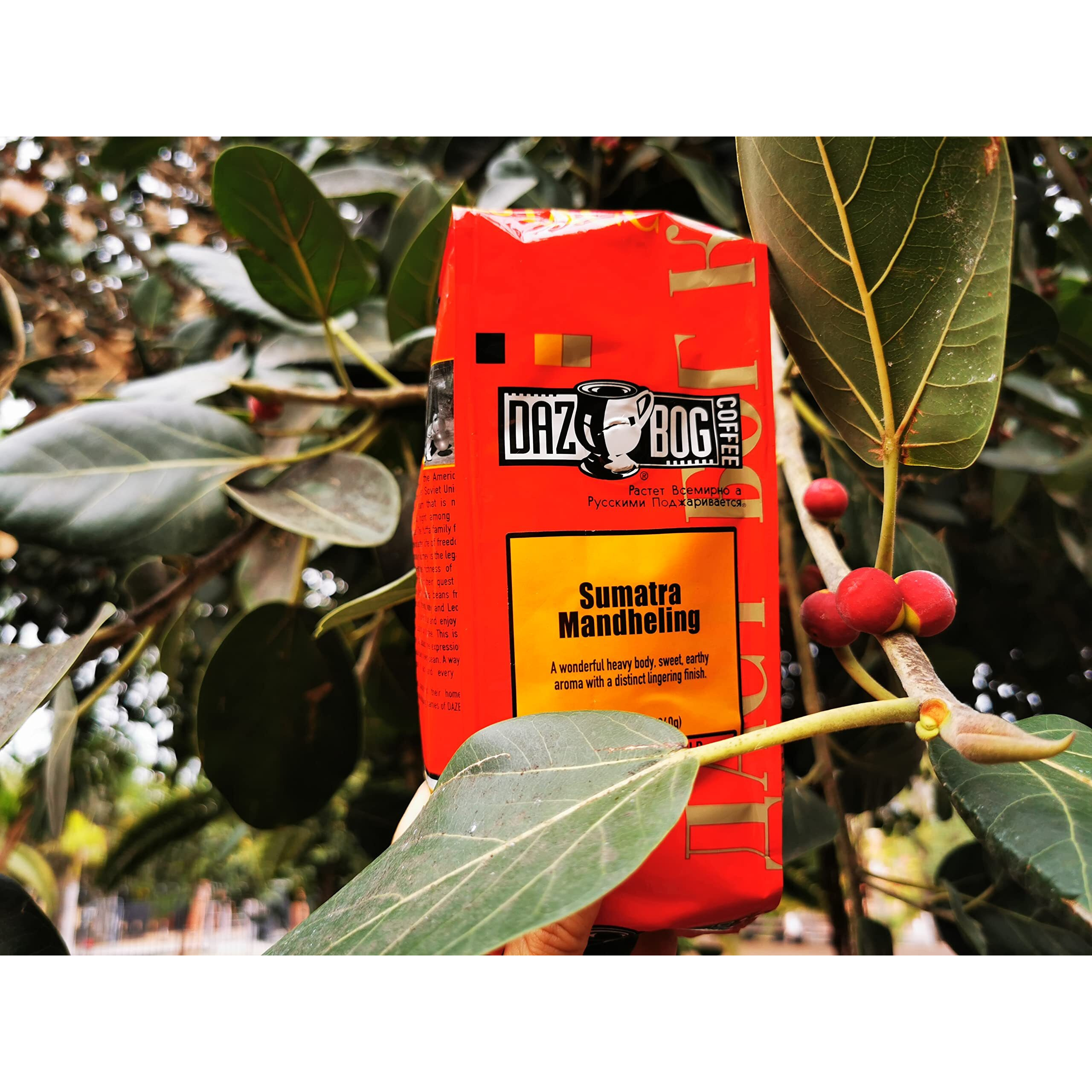 Dazbog Coffee | Sumatra Single Origin | Whole Bean | 11 Oz. | Strong, Sweet & Earthy Aroma | Exotic, Heavily-Bodied Blend | Smooth Finish | Vacuum Sealed Freshness
