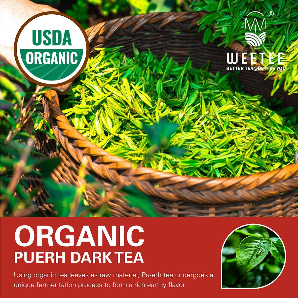 Wt Weetee Organic Puerh Tea Bags, Usda Certified Organic Ripe Pu'Erh Tea 100 Count, Smooth, Subtly Sweet, Earthy Dark Tea Black Tea, Rich Antioxidants