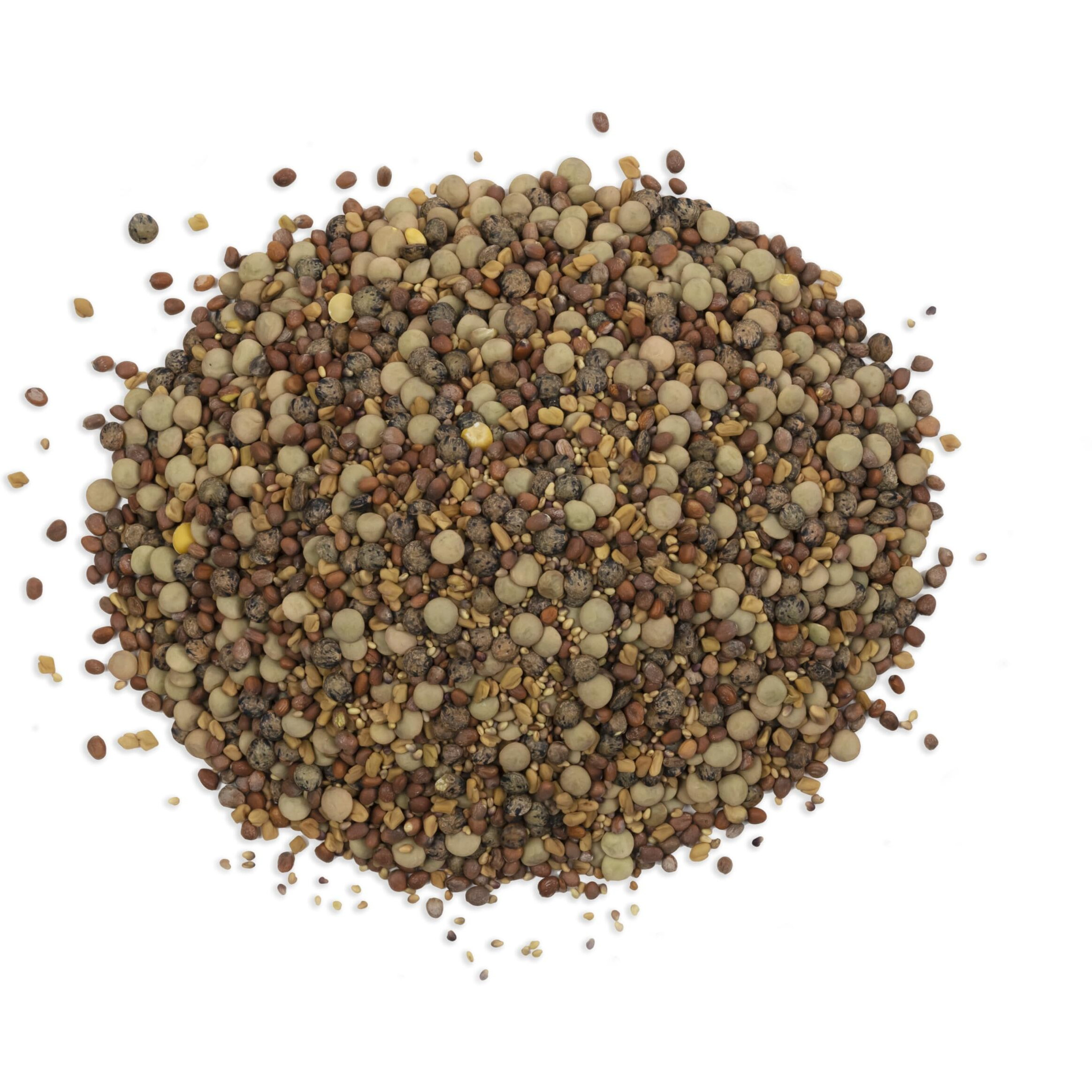 The Sprout House Veggie Queen Salad Mix Certified Organic Non-Gmo Sprouting Seeds - Red Clover, Red Lentil, French Lentil, Daikon Radish, Fenugreek 1 Pound