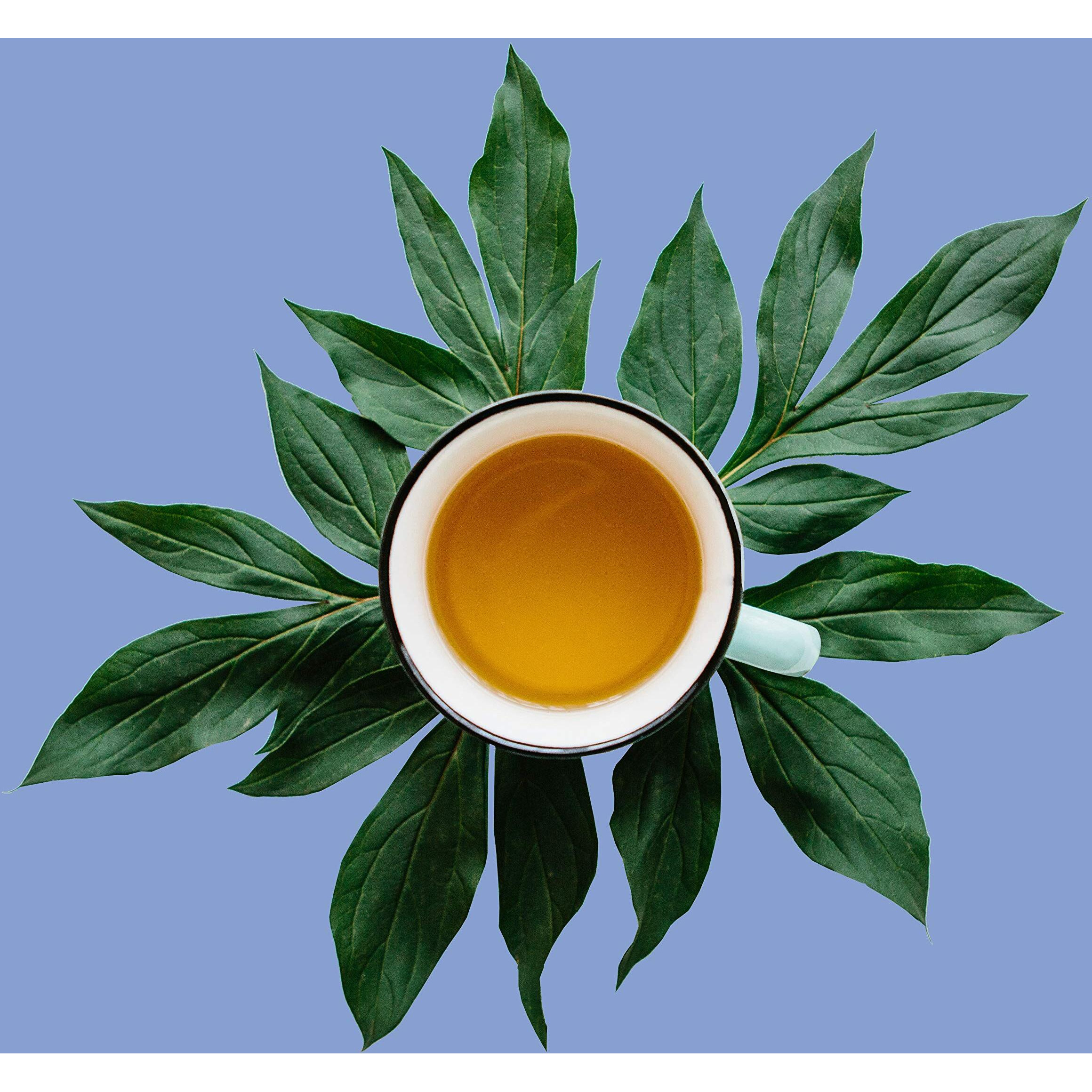 Coconut Vanilla White Tea Loose Leaf, Low Caffeine, High Antioxidants, Hot & Iced White Tea | 8Oz Bulk Tea, 80-100 Cups | The Spice Hut, First Sip Of Tea