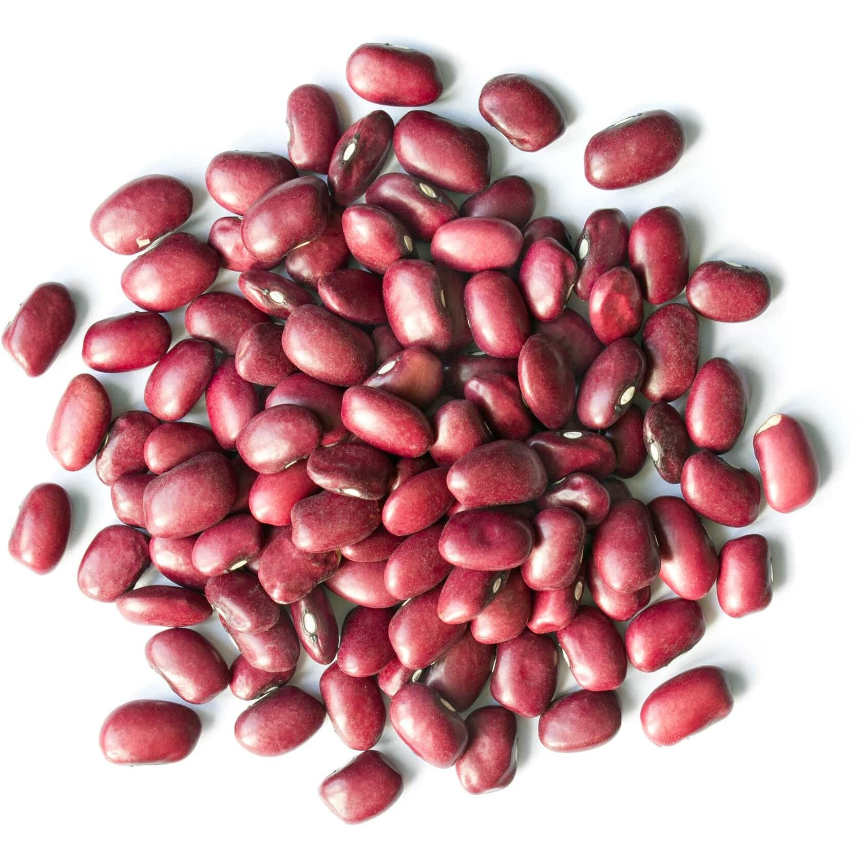 Food To Live Organic Adzuki Beans, 1 Pound - Non-Gmo, Sproutable, Whole Raw Dried Azuki Beans (Red Mung Beans), Vegan, Kosher, Bulk Organic Beans.