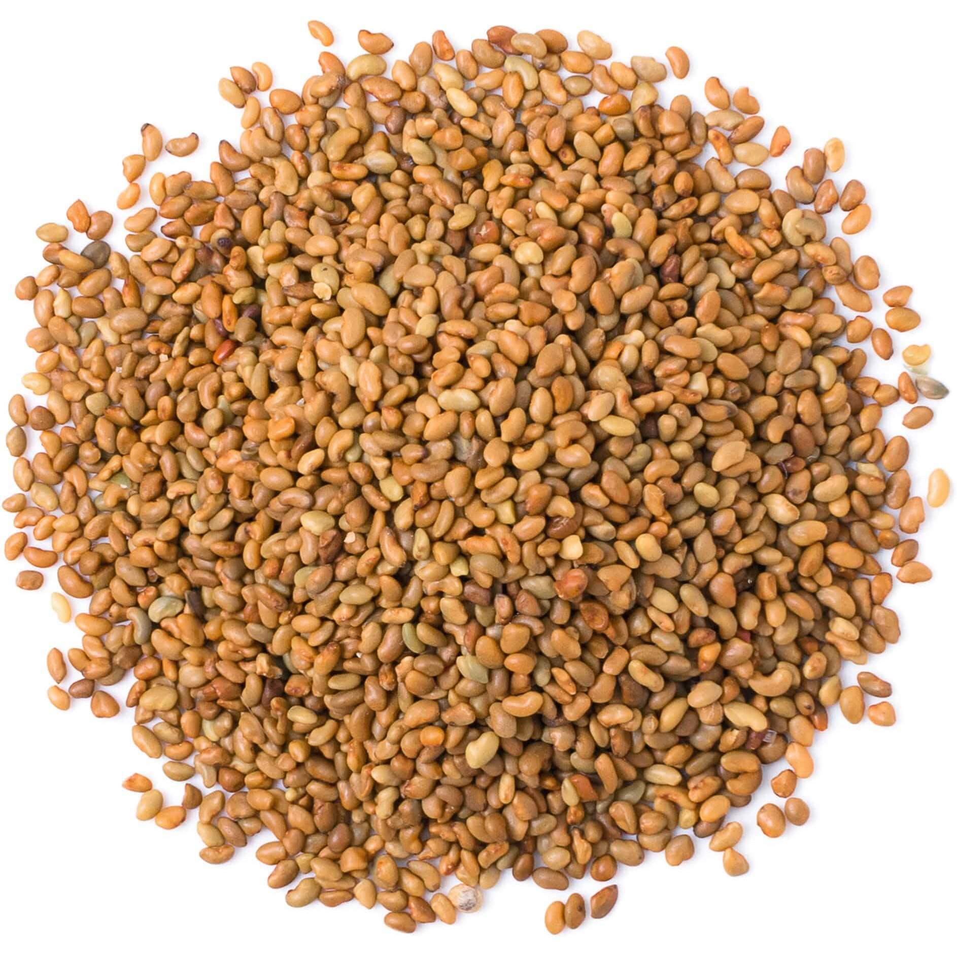 Food To Live Alfalfa Seeds For Sprouting, 8 Ounces - Edible Seeds, Pure, Vegan, Kosher, Bulk. Rich In Vitamin K & C. High Germitation Rate. Grow Sprouts, And Microgreens For Salad, Sandwiches, Rolls.