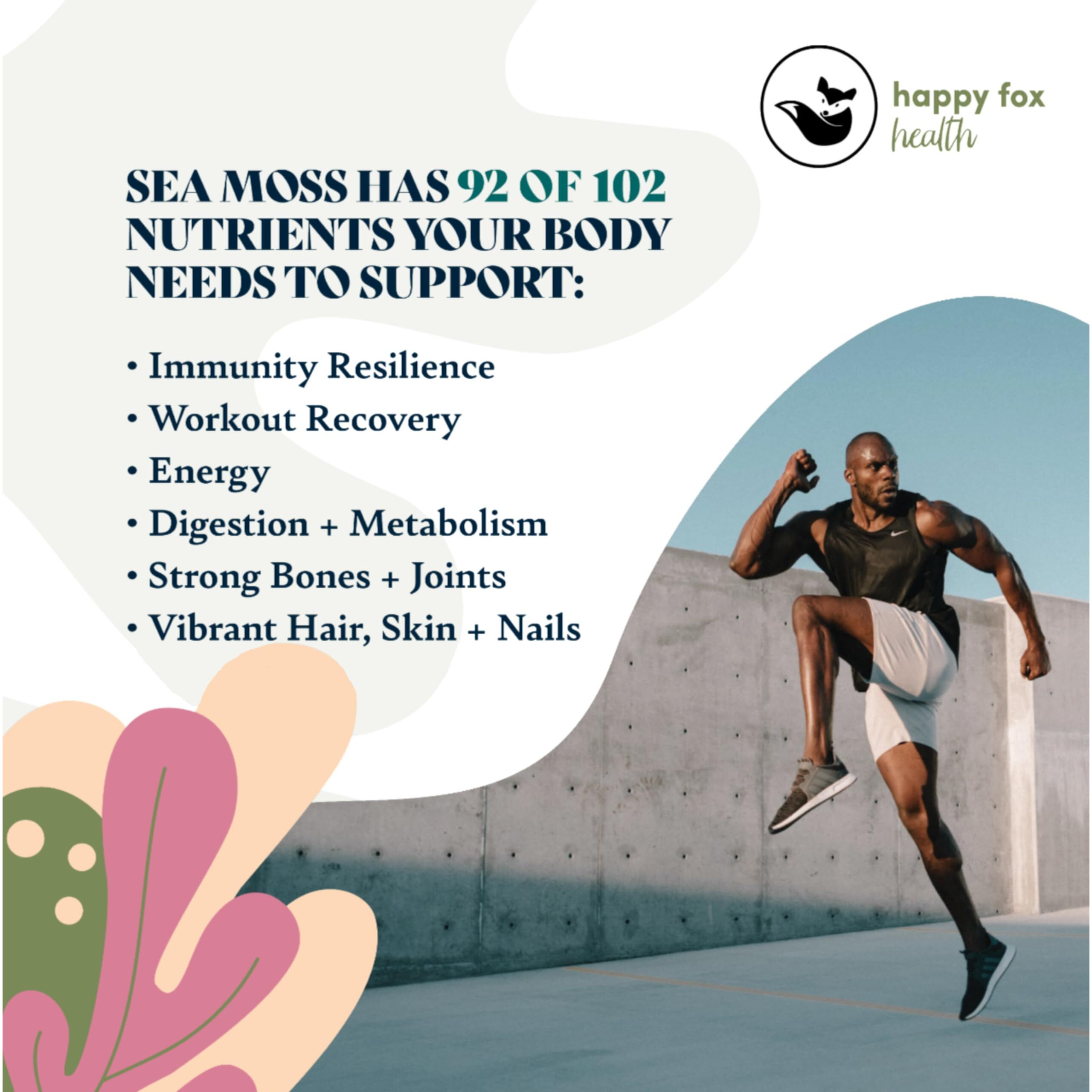 Happy Fox Sea Moss Raw Organic For Organic Seamoss Gel Makes 170Oz Of Dr Sebi Sea Moss Gel - Certified Non-Gmo, Wildcrated Organic Raw Sea Moss - 6 Mos Supply Of Seamoss Gel - 226 Gram Bag