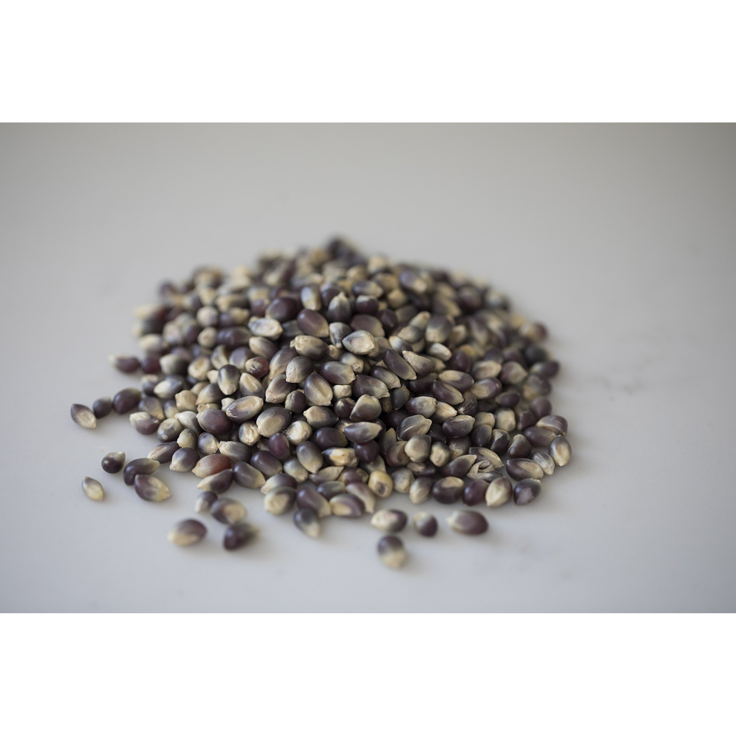 Amish Country Popcorn | 2 Lbs Bag | Blue Popcorn Kernels | Old Fashioned, Non-Gmo And Gluten Free (Blue - 2 Lbs Bag)