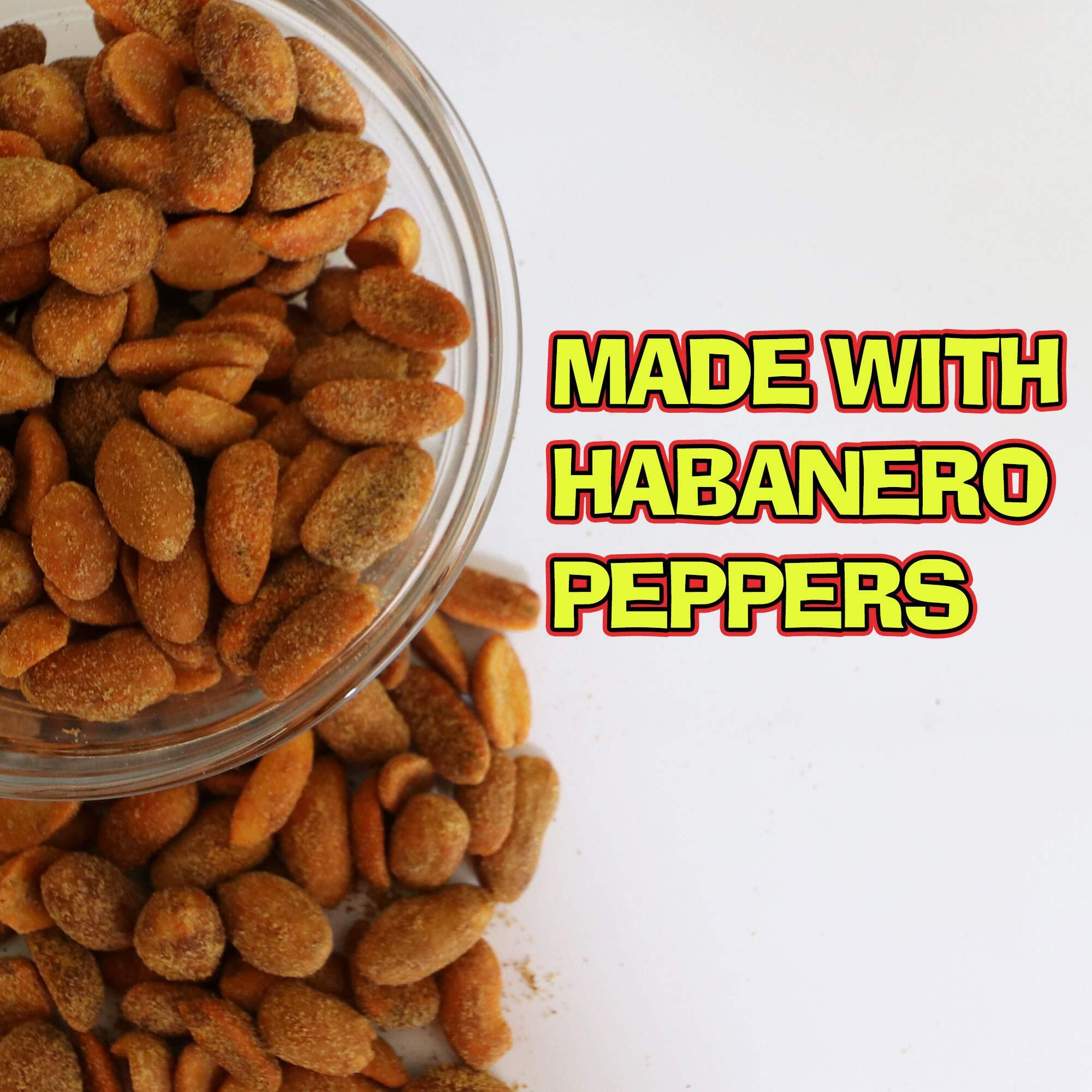 Kickin Habanero Pepper Spicy Hot Peanuts - 12Oz - Perfect Premium Hot And Spicy Peanuts - Ultimate Spicy Snack Gourmet Gift Hottest Peanuts - Try If You Dare