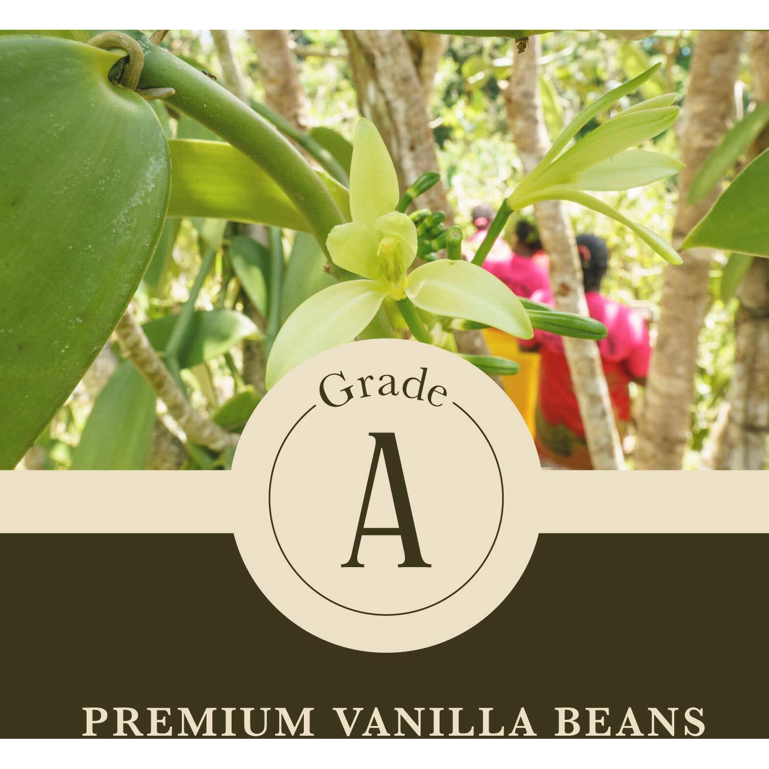 8 Oz (1/2 Lb) Organic Madagascar Whole Vanilla Beans, Grade A Vanilla Pods, Premium Vanilla Beans For Making Extract & Baking - Cooks