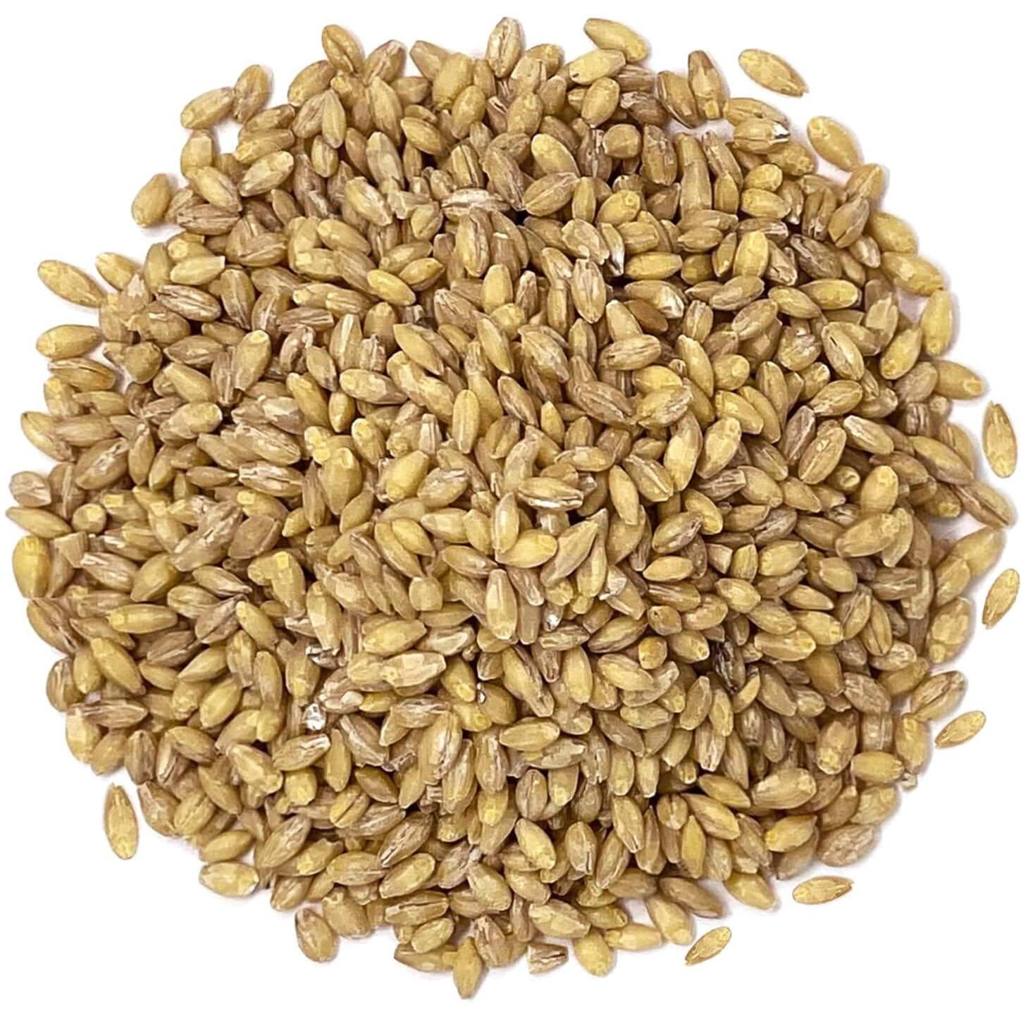 Food To Live Organic Hulled Barley, 1 Pound - Non-Gmo, 100% Whole Grain, Kosher, Vegan, Bulk. Suited For Home Brewing, Grinding. High In Fiber. Great For Chili, Hot Cereal, Salads, Soup