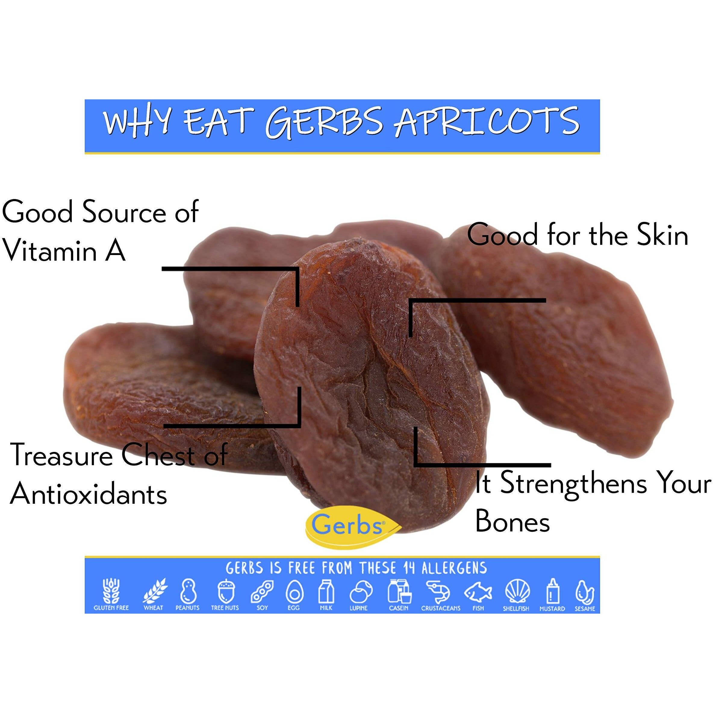Gerbs Dried Apricots 2 Lbs. | Freshly Dehydrated Packed In Resealable Bulk Bag | Top Food Allergy Free | Sulfur Dioxide Free |Great With Yogurt, Cottage Cheese, Oatmeal | Gluten Peanut & Tree Nut Free