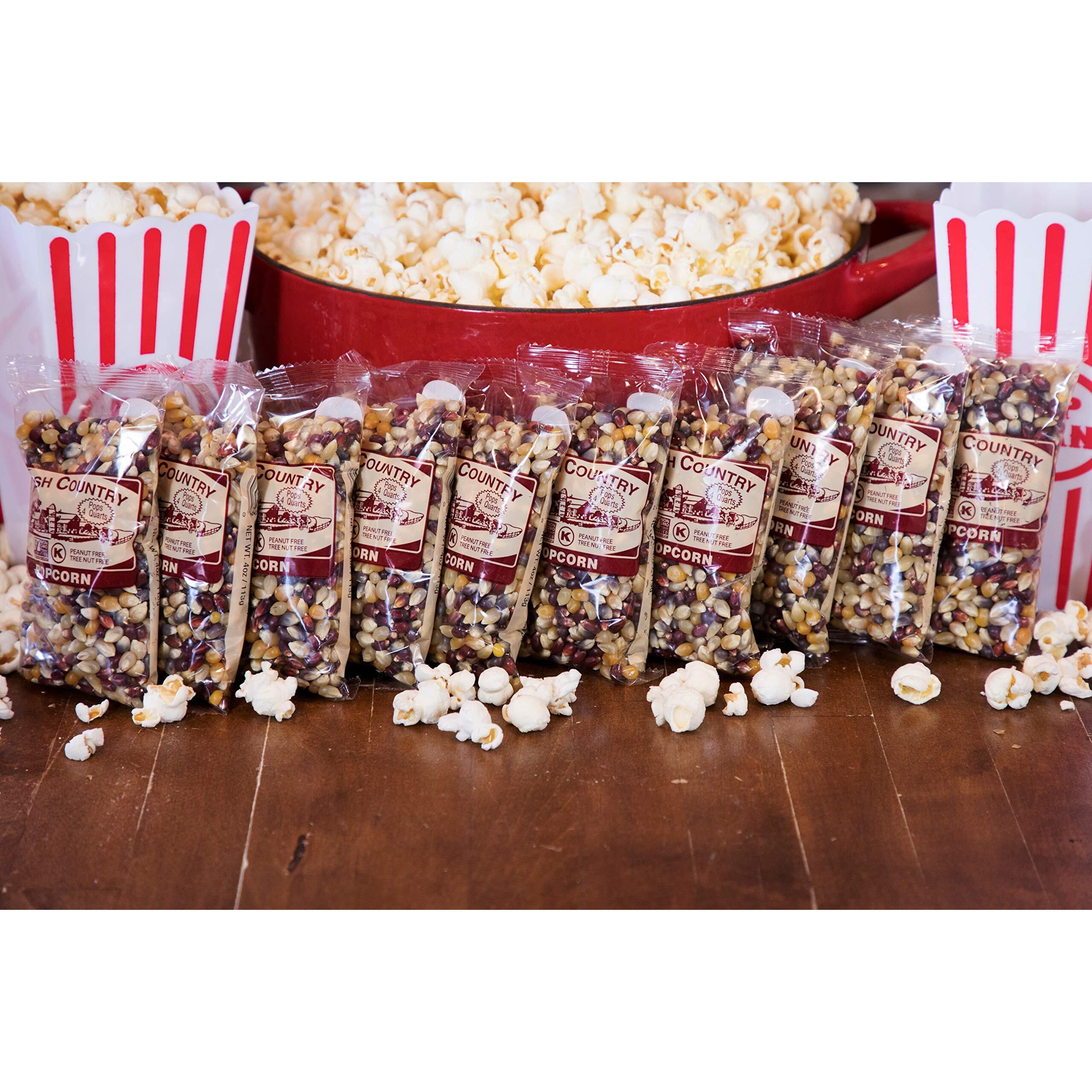 Amish Country Popcorn | 10-4 Oz Bags | Rainbow Popcorn Kernels | Old Fashioned, Non-Gmo And Gluten Free