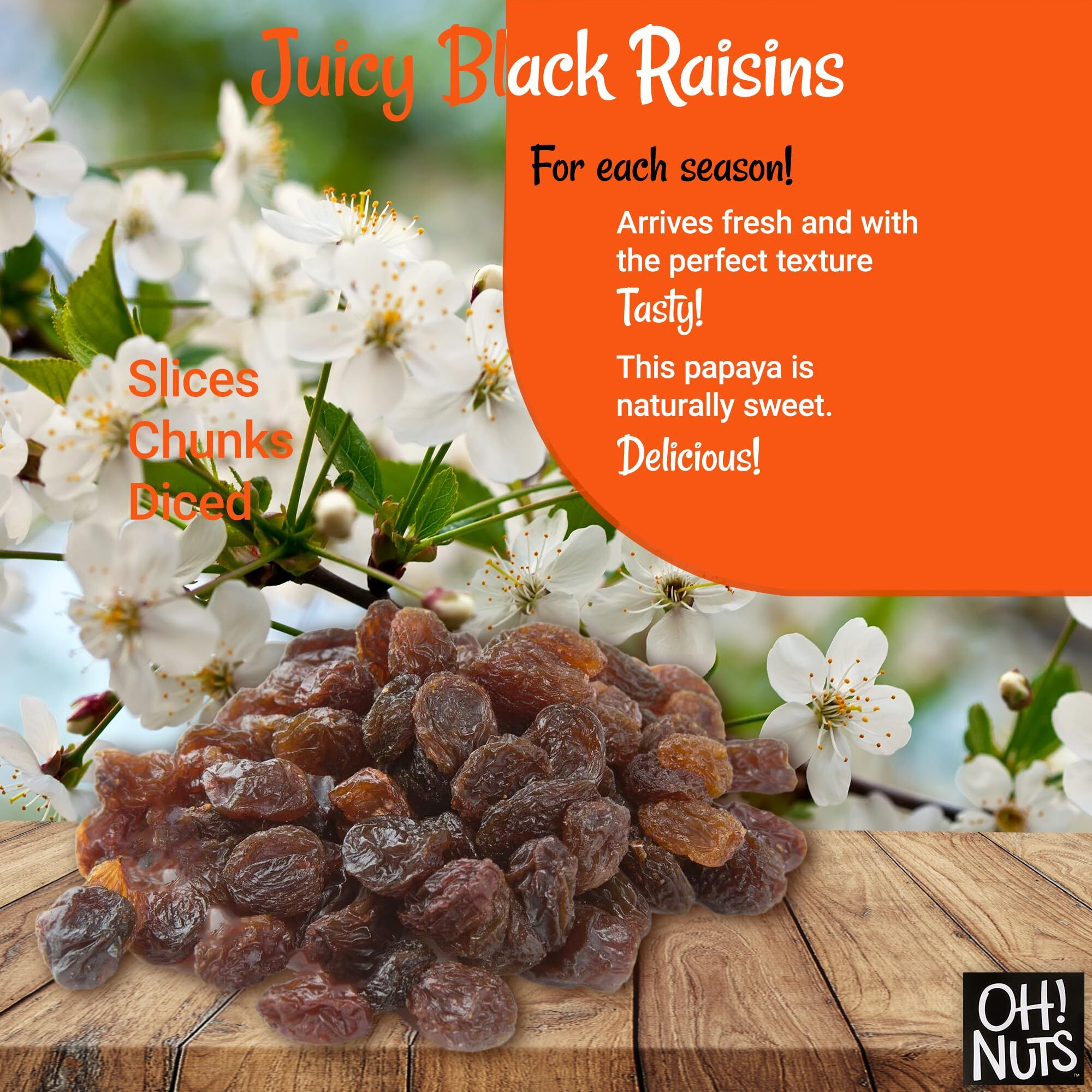 Black Raisins | 1 Lb - Dried Fruit | No Sugar Added | Dehydrated Fruit Bites | Packed In New York Zip-Seal Bag For Exceptional Freshness By Oh Nuts