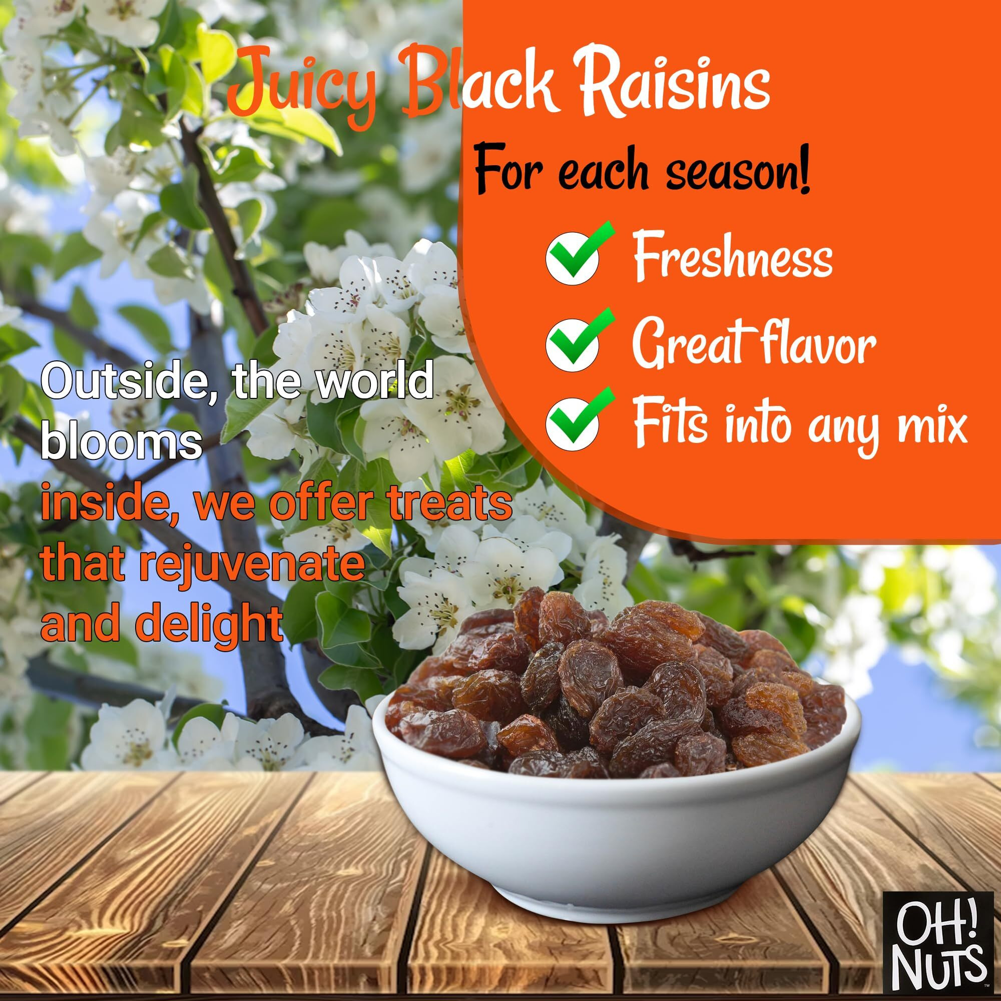 Black Raisins | 1 Lb - Dried Fruit | No Sugar Added | Dehydrated Fruit Bites | Packed In New York Zip-Seal Bag For Exceptional Freshness By Oh Nuts