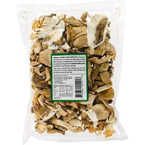 Mushroom House (Musi1) Dried Oyster, 8 Oz