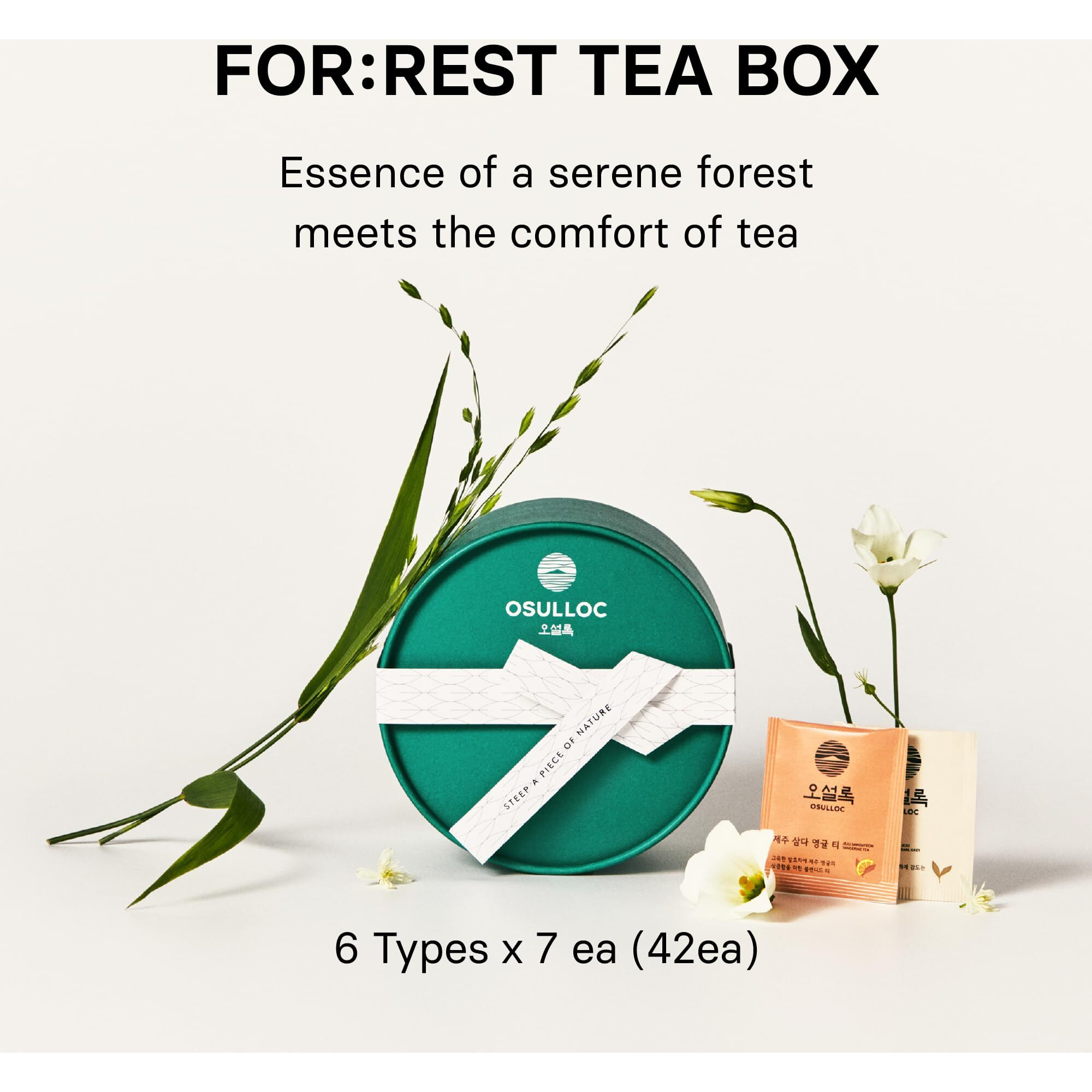 Osulloc ForRest Tea Box (42 Count, 6 Types X 7Ea,) Exquisite & Unique Gift Idea For Tea Lover, Variety Gift Box Sampler, 6 Unique Blended Tea From Jeju Island