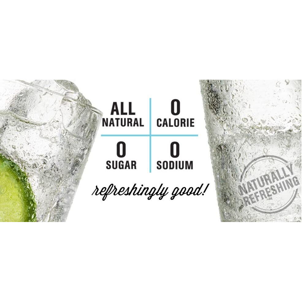 Hal's New York Seltzer Carbonated Vanilla Cream Flavored Sparkling Water, Zero Sugar, Zero Calorie, Zero Carbs, 20 Fl Oz (Pack Of 24)