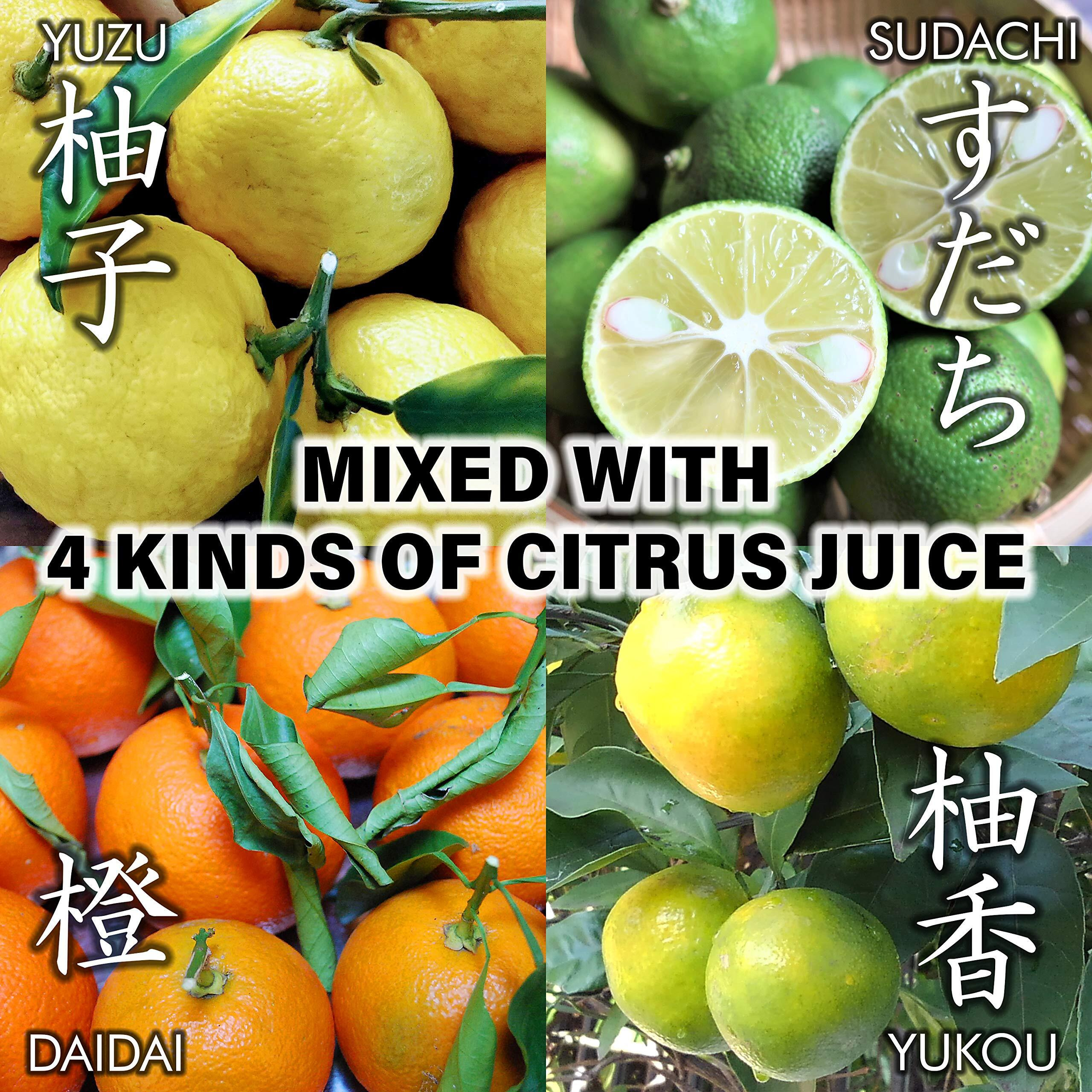 Ponzu Sauce (Yuzu Blend) Dressing Japanese HandmadeNo Chemical Seasonings Non-Gmo Natural Brewing 300Ml(10.14Floz) Yamasan