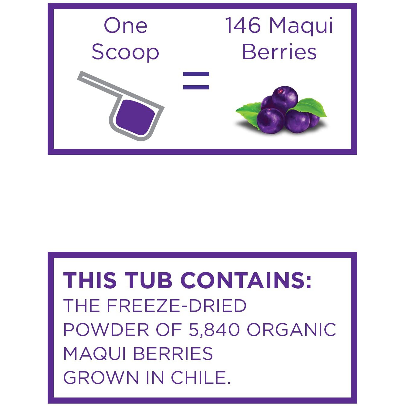 Koyah - Organic Maqui Powder 40 Servings (1 Scoop  146 Berries Or 1/8 Cup Fresh), Chile Grown, Freeze-Dried, Whole-Berry Powder