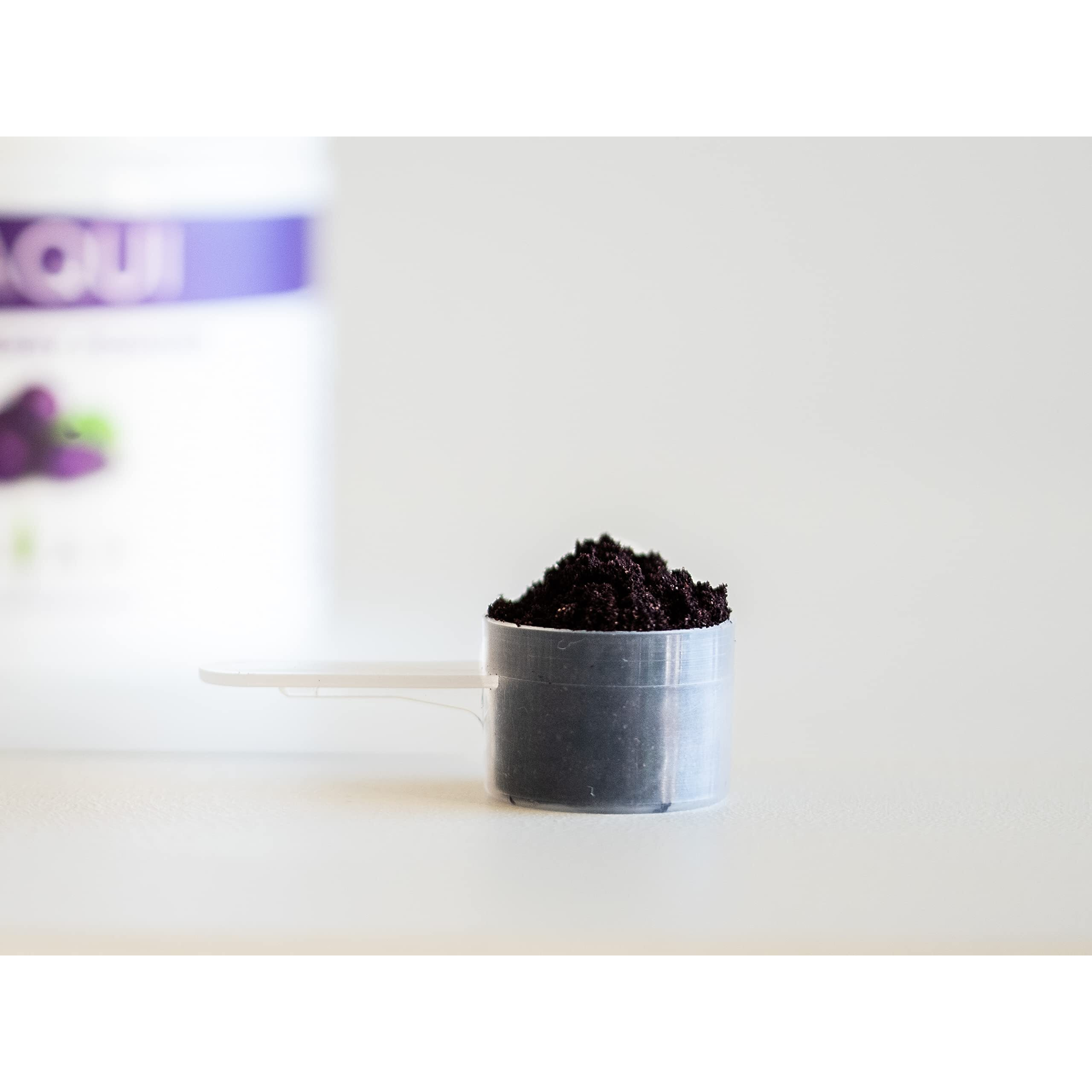 Koyah - Organic Maqui Powder 40 Servings (1 Scoop  146 Berries Or 1/8 Cup Fresh), Chile Grown, Freeze-Dried, Whole-Berry Powder
