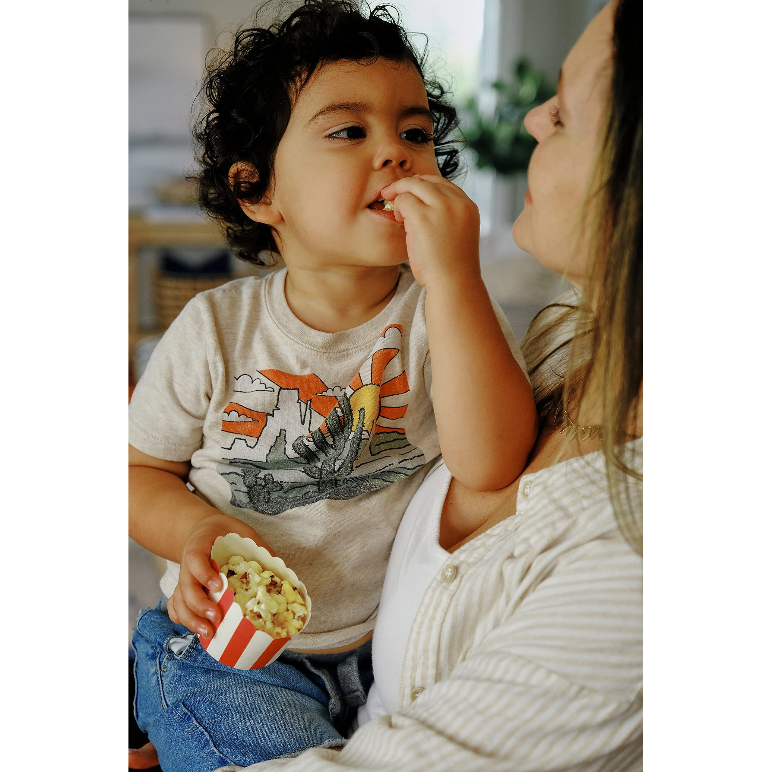 Amish Country Popcorn | Spicy Popcorn Dust - 2.25 Oz | Old Fashioned, Non-Gmo And Gluten Free