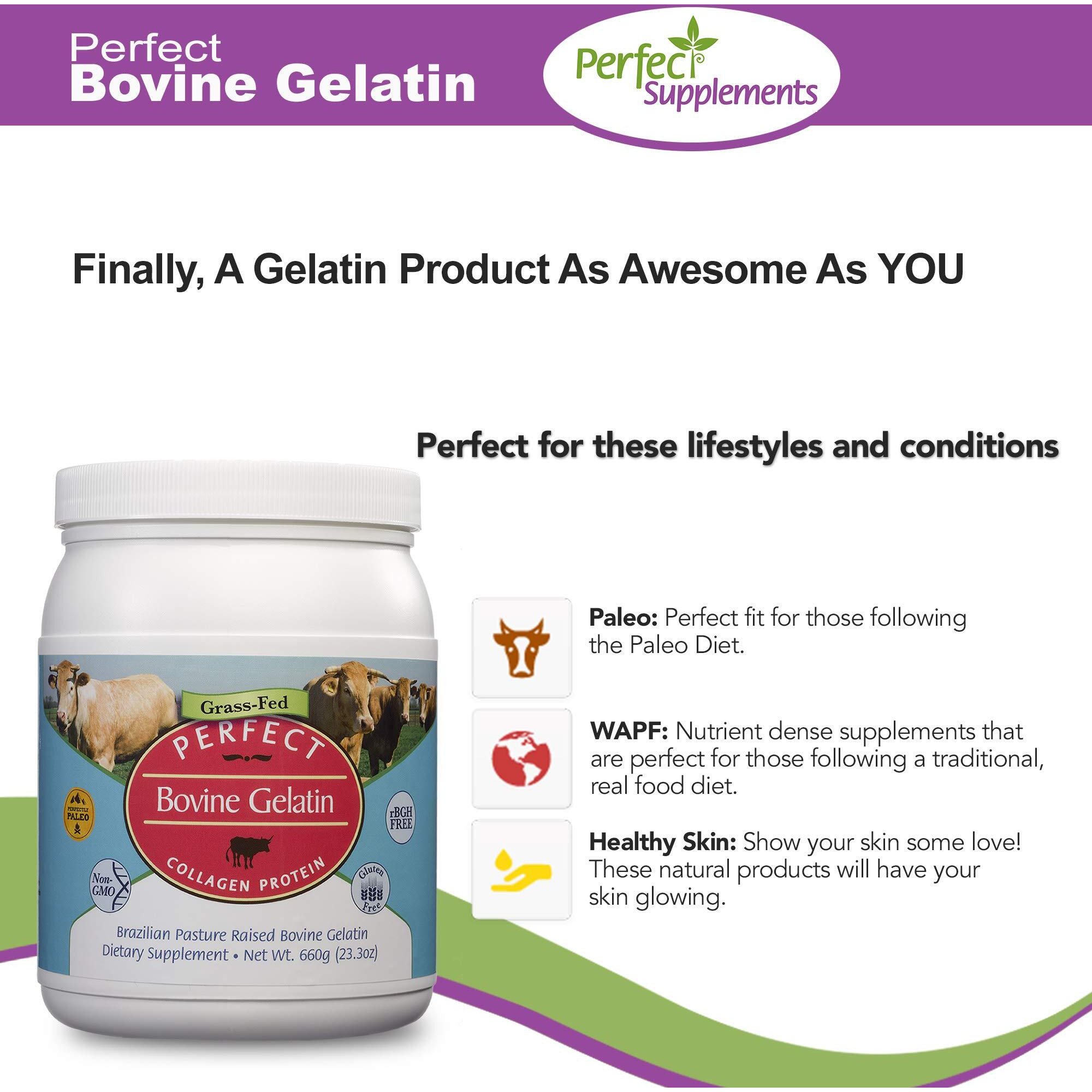 Perfect Supplements - Perfect Bovine Gelatin - 660 Grams - 100% Beef Gelatin Collagen Protein - Supports Healthy Skin & Joint Health