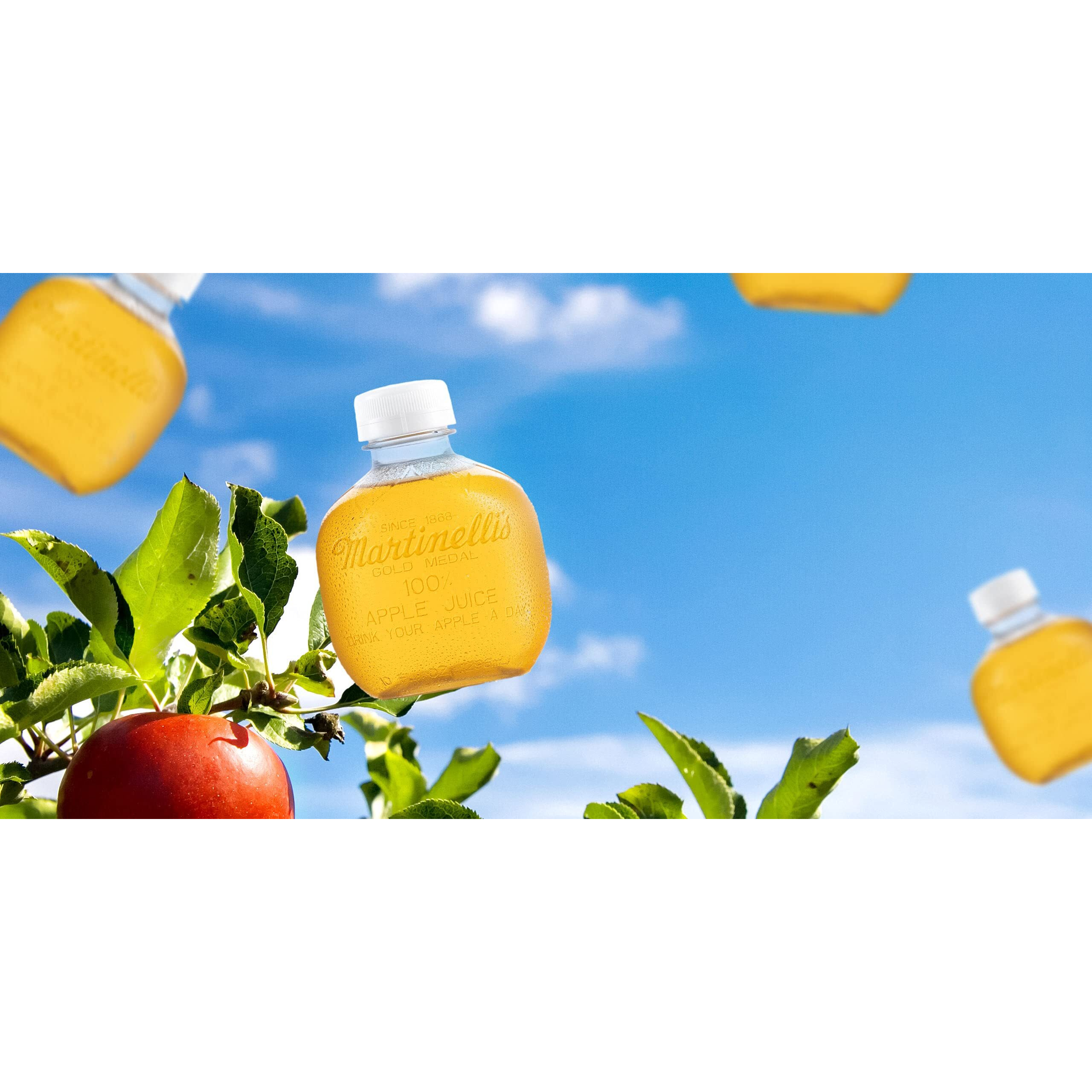 Martinellis Apple Juice Premium. 100% Pure Juice | 10 Fl Oz Pet Bottles | Pack Of 24