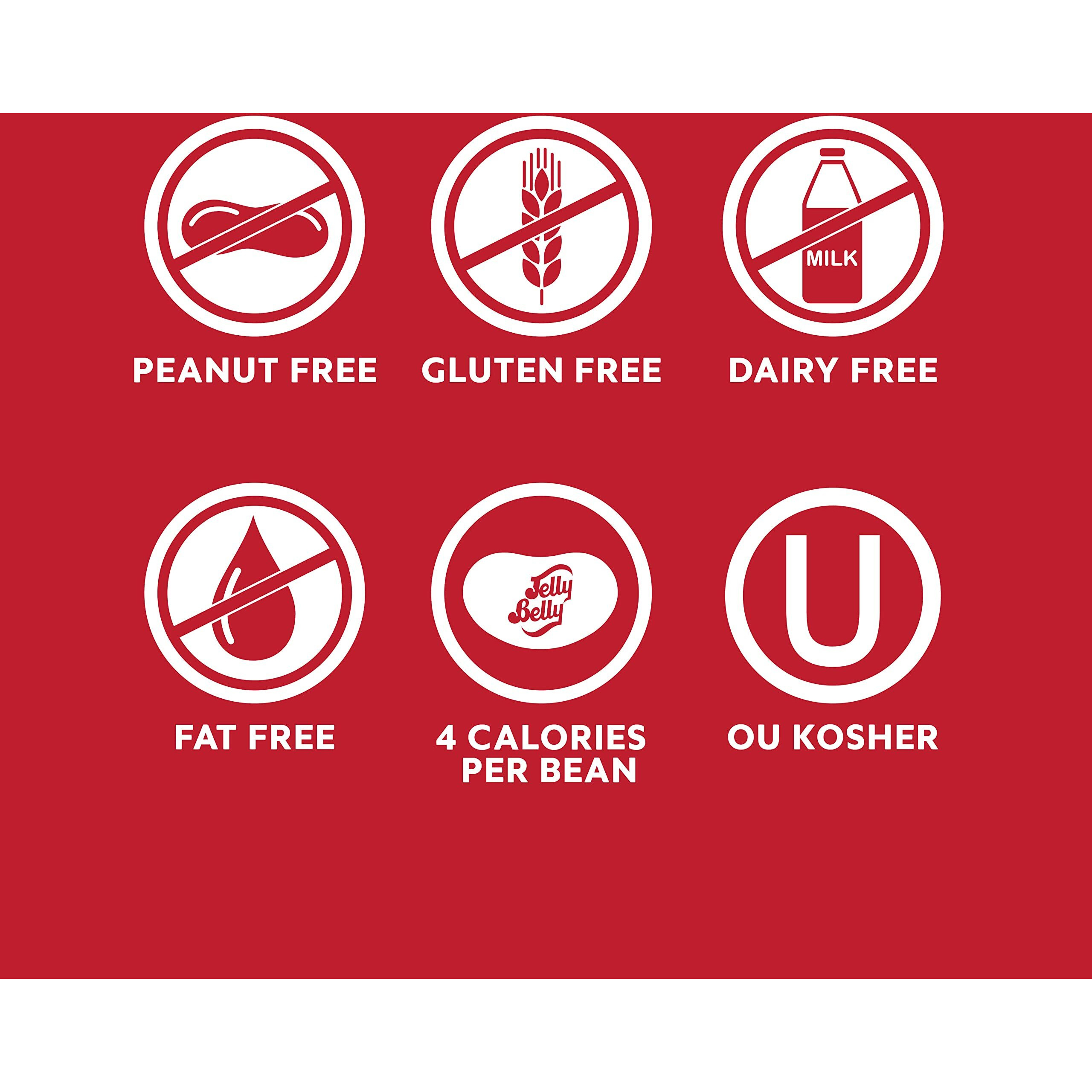 Jelly Belly Cappuccino Jelly Beans - 1 Pound (16 Ounces) Resealable Bag - Genuine, Official, Straight From The Source