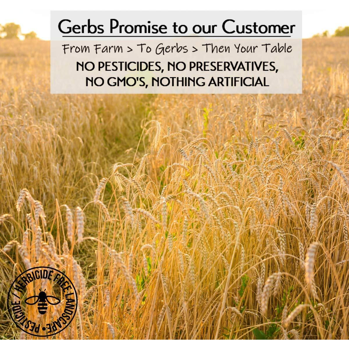 Gerbs Traditional Rolled Oats 2 Lbs. Premium Grade | Top 14 Food Allergy Free | Freshly Harvested In Resealable Bulk Bag | High In Fiber & Antioxidants, Control Overeating | Gluten Peanut Tree Nut Free