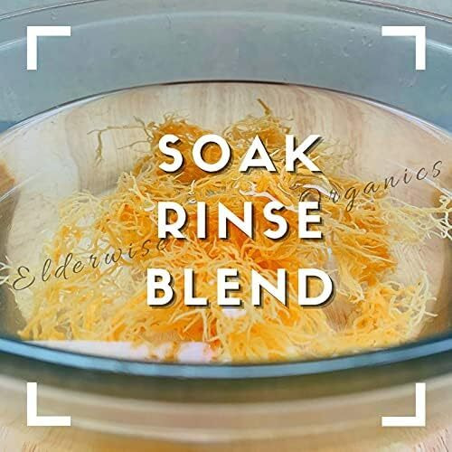 Sea Moss | Wildcrafted | 2.5 Oz That Makes 64 Oz Of Gel | Raw + Non Gmo | Sundried | Mineral Rich | Saint Lucia Sea Moss | Golden