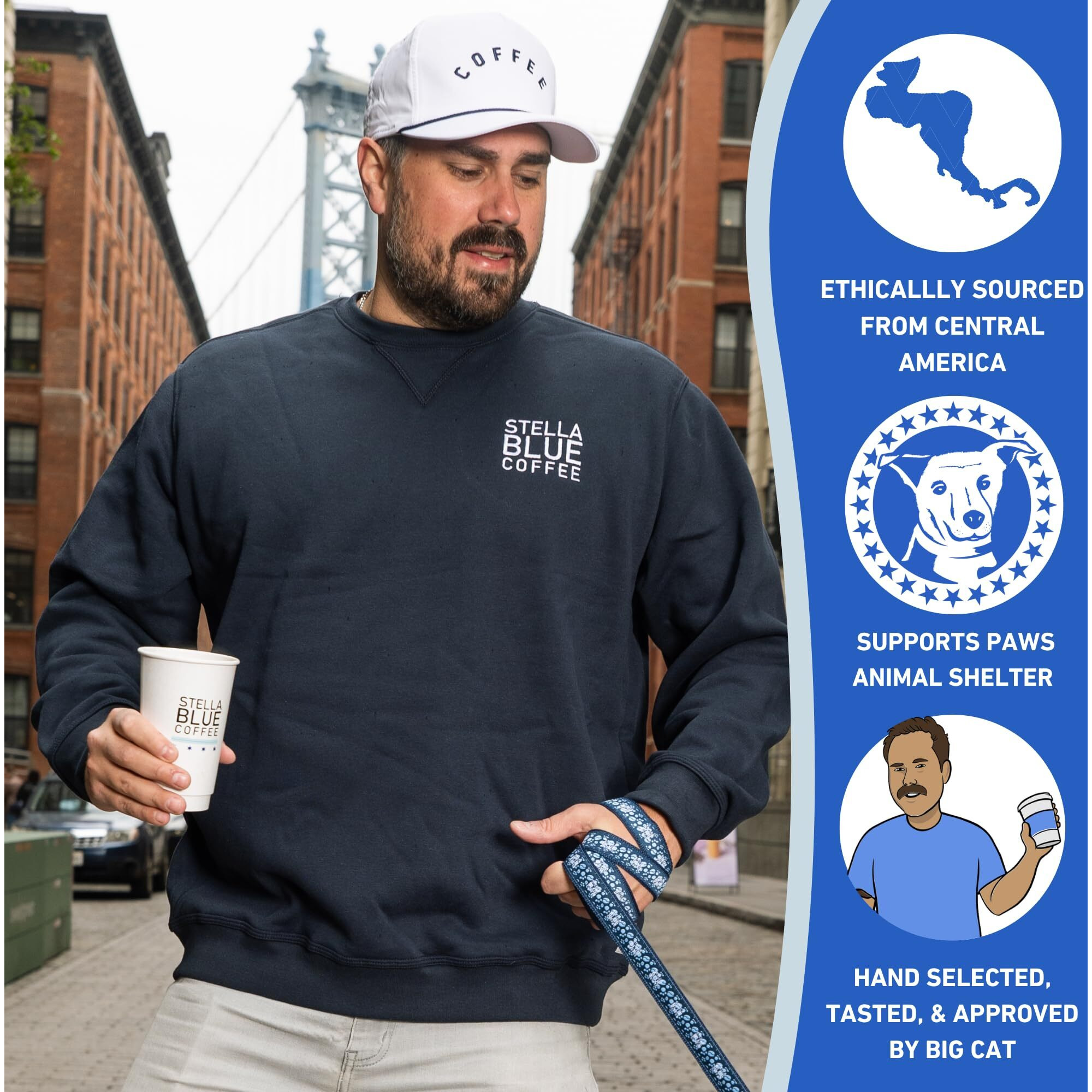 Stella Blue Fresh K Cup Coffee Pods - Big Cat Blend - 100% Arabica Medium Roast - Ethically & Sustainably Sourced From Central America - Helps Support Paws Chicago - 12 Single Serve Pods