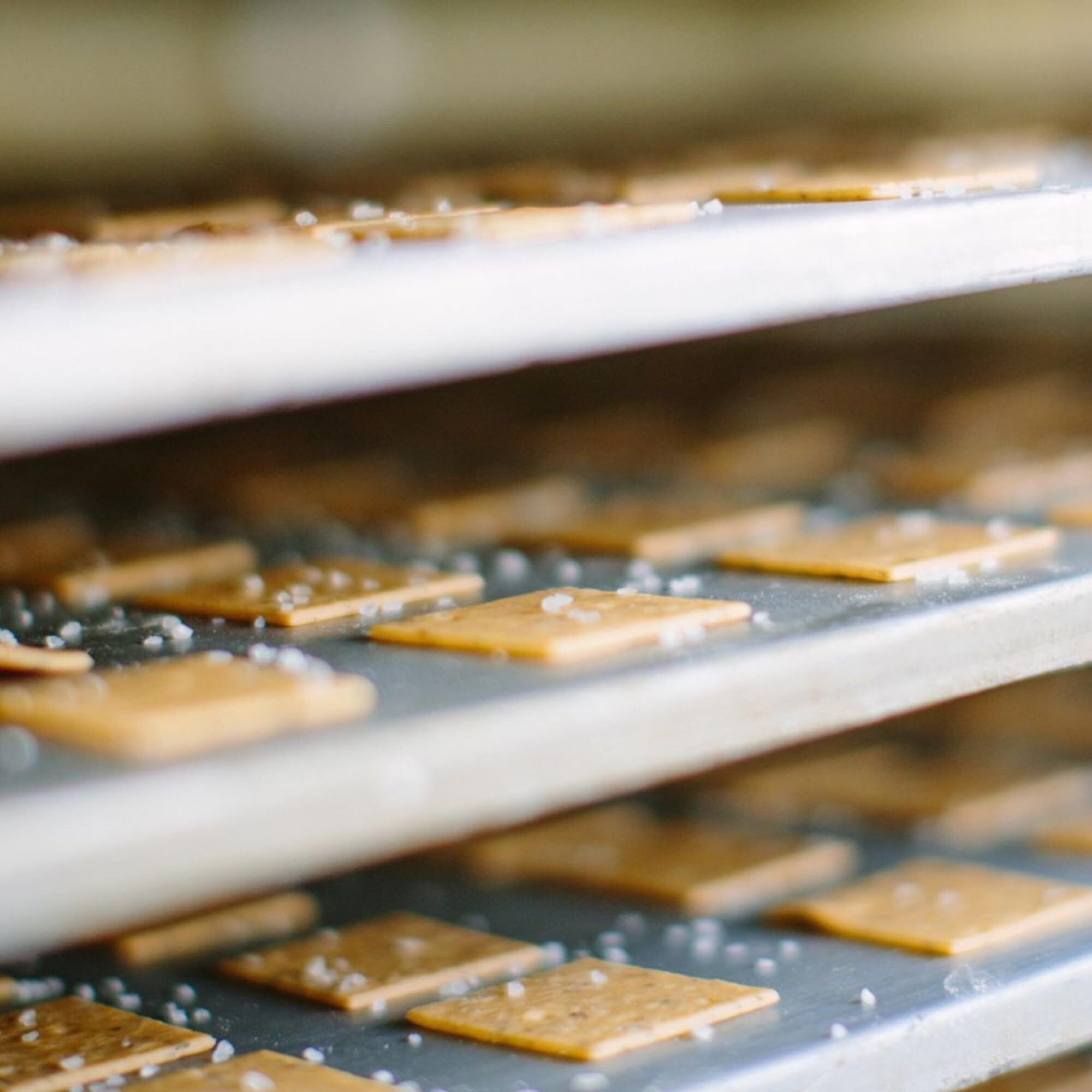 Jovial Organic Sourdough Einkorn Sea Salt Crackers - Sourdough Crackers, Crackers For Cheese Platter, Made With Einkorn, Usda Organic, Non-Gmo - 4.5 Oz, 2 Pack