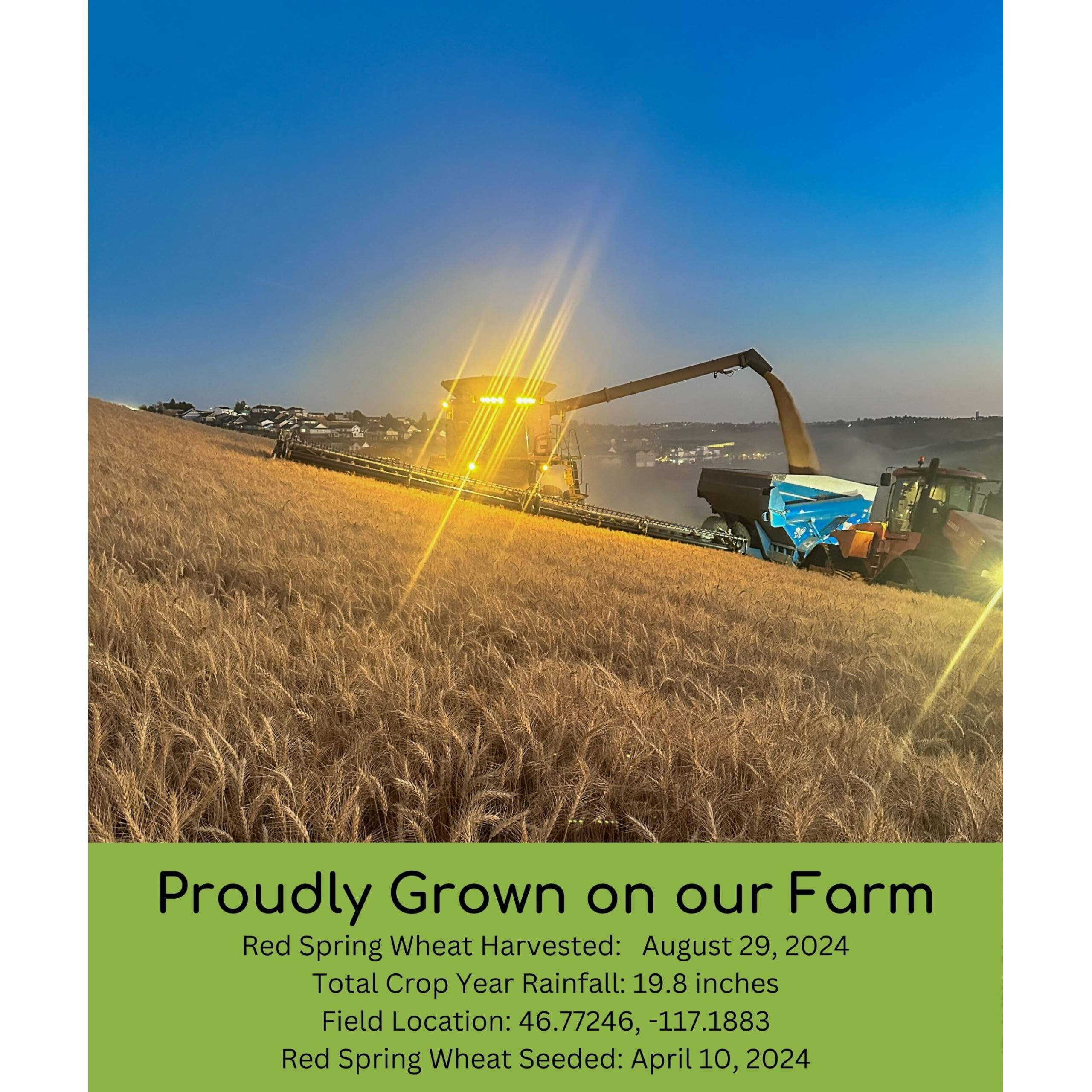 Hard Red Spring Whole Wheat Flour | 3 Lbs | Bread Flour | Non-Gmo | 100% Non-Irradiated | Kosher | Usa Grown | Field Traced | Resealable Kraft Bag