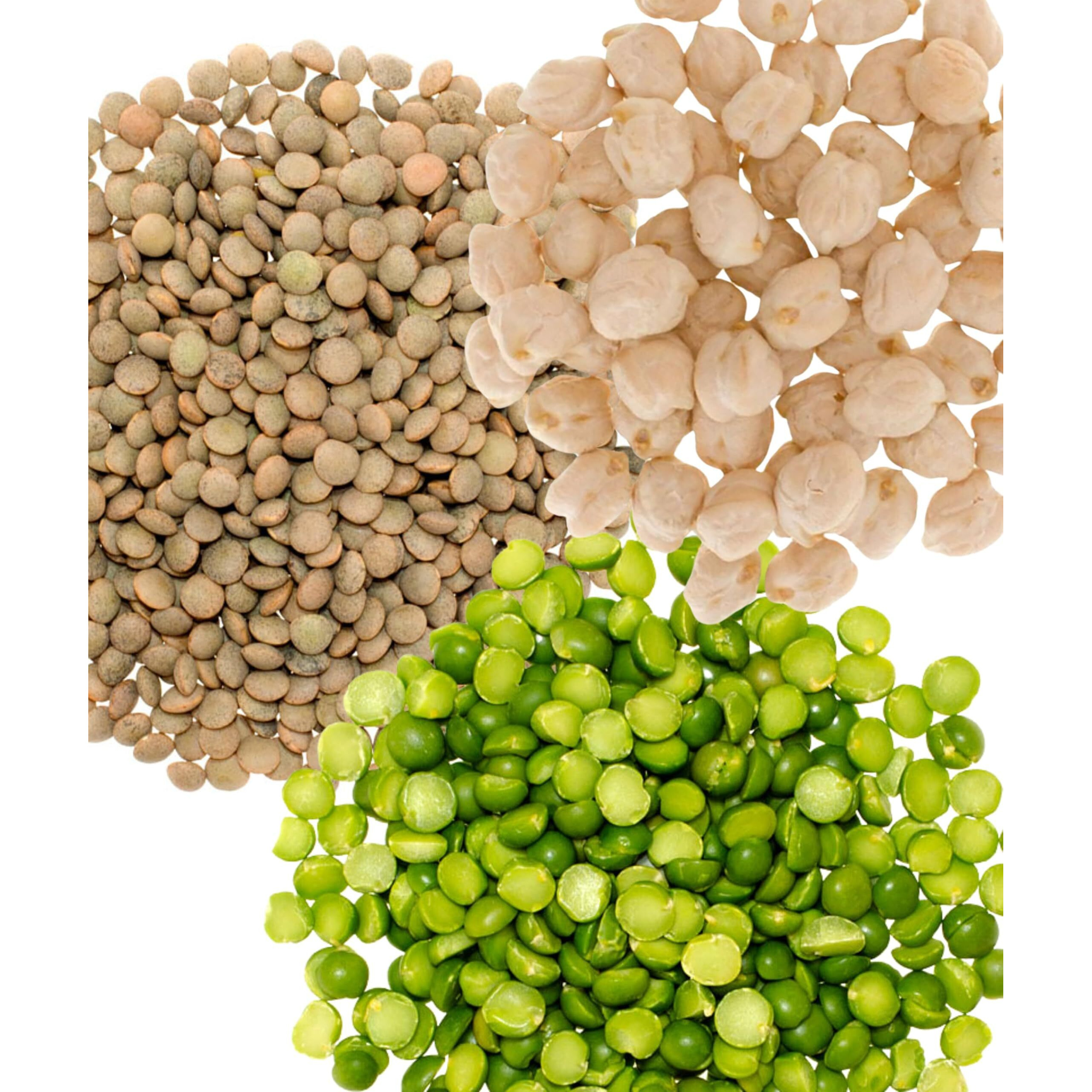 Garbanzo Beans | Pardina Lentils | Green Split Peas | 15 Total Lbs | Non-Gmo Project Verified | 100% Non-Irradiated | Certified Kosher Parve | Usa Grown | Field Traced