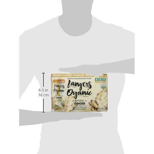 Langers Organic Flavored Sparkling Water, Ginger, 12 Ounce (Pack Of 8)