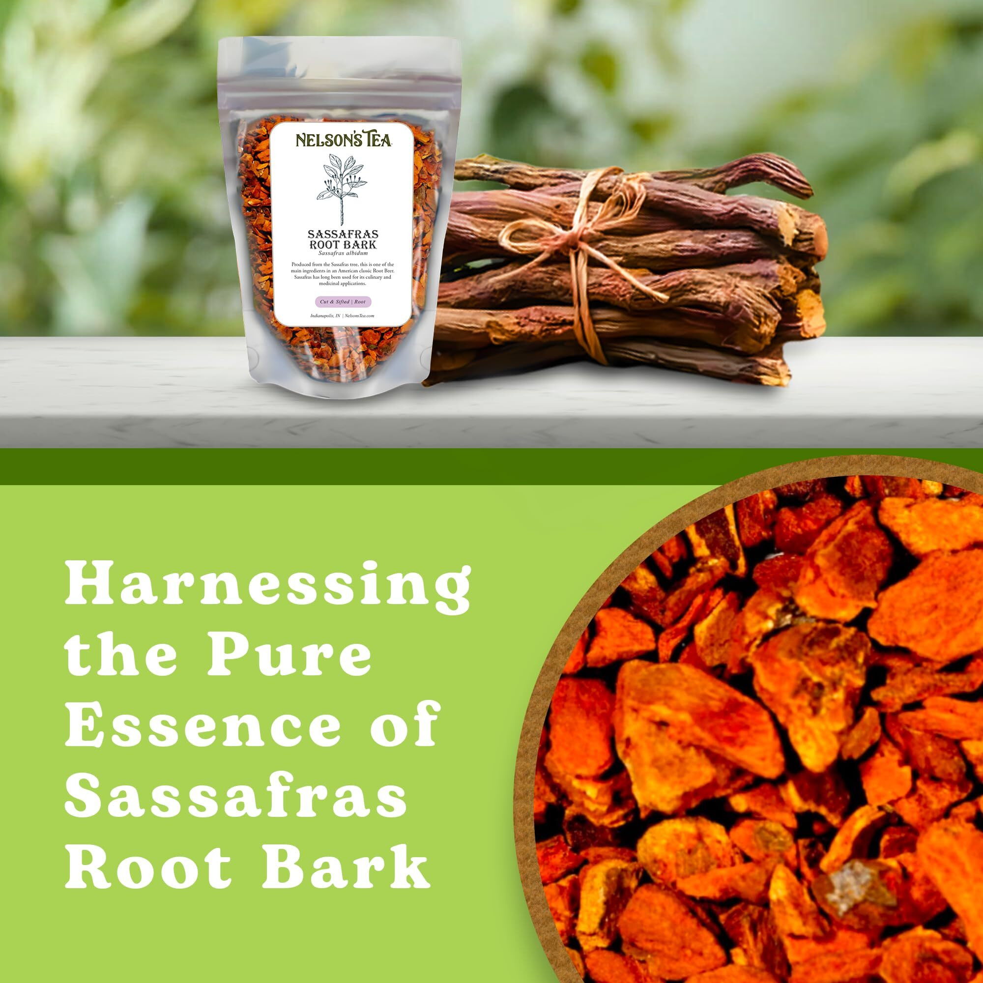 Nelson's Tea - Sassafras Root Bark - Cut & Sifted Sassafras Root Beer Flavor - Sassafras Albidum (1 Oz)