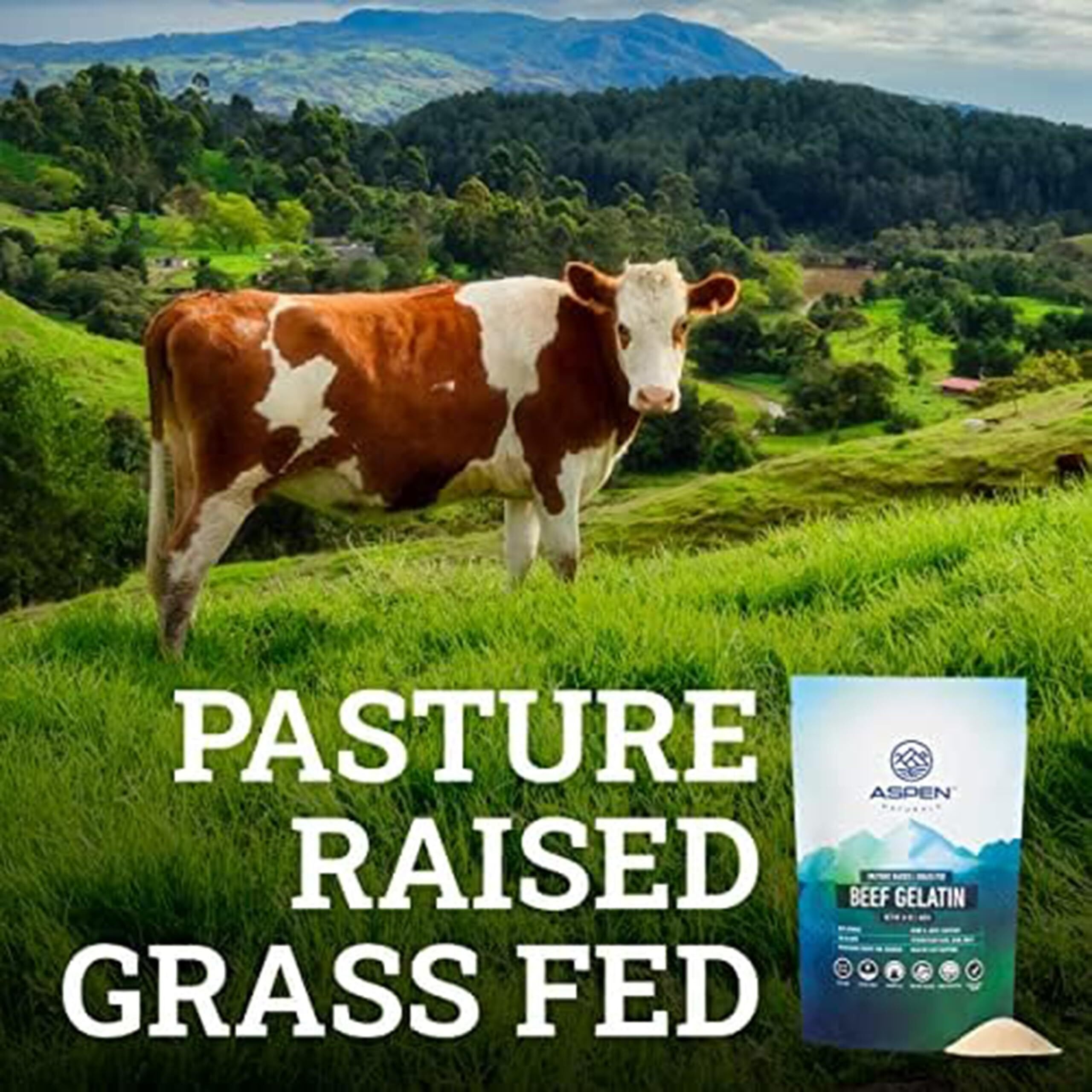 Aspen Naturals Grass Fed Beef Gelatin Powder. Pasture Raised, Grass-Fed Gelatin, Non-Gmo, Paleo Friendly (24 Oz). Unflavored Gelatin Powder. Easy To Mix Protein Supplement.
