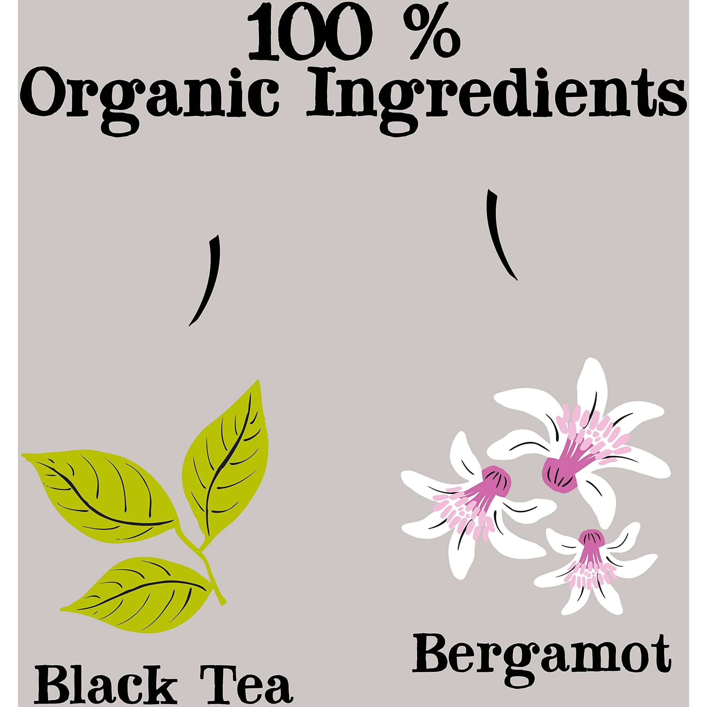 Clipper Tea, Earl Grey, Organic Tea With Citrus Begamot, Plant Based, Black Tea, Caffeinated British Tea, 6 Pack, 120 Unbleached Tea Bags